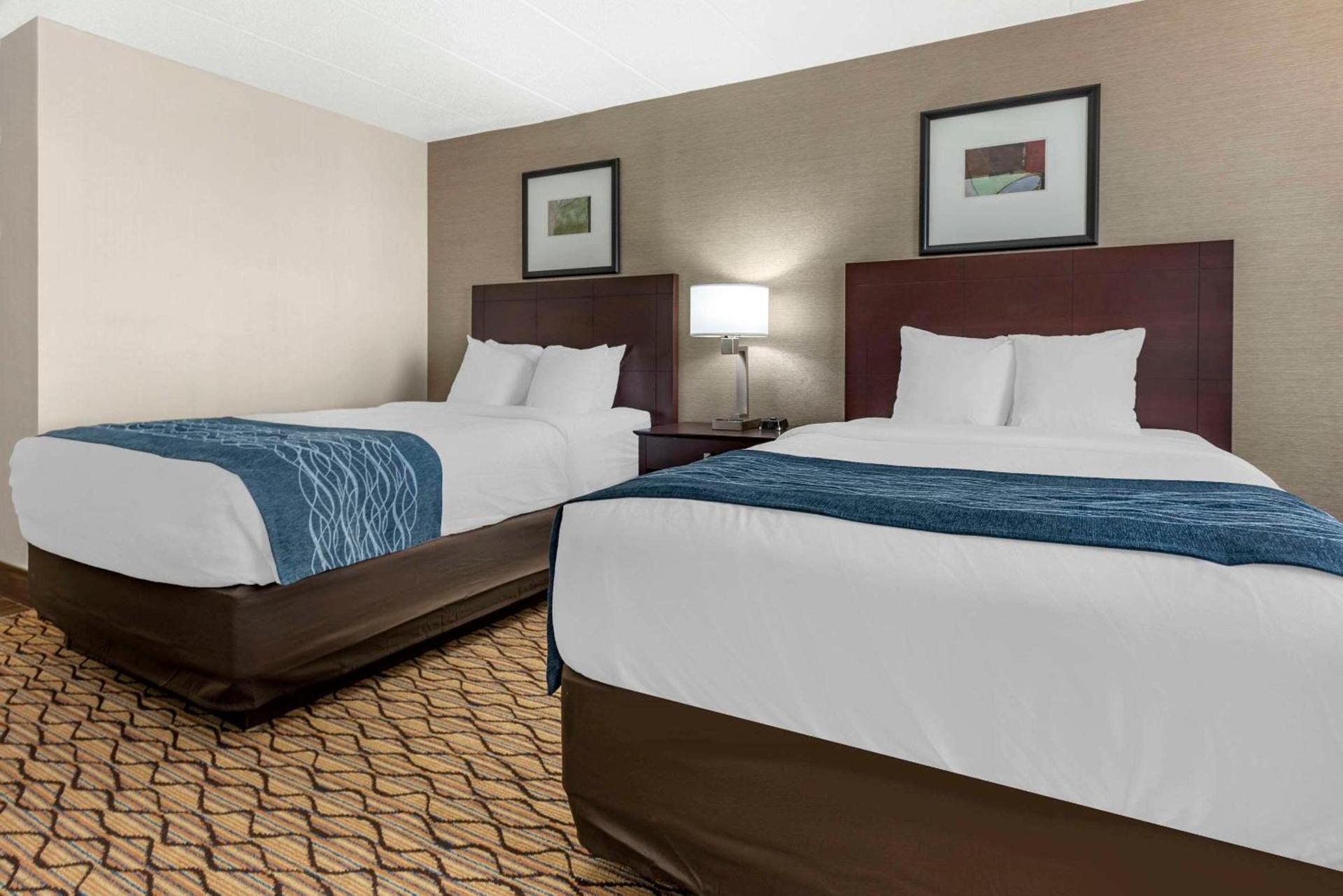 Comfort Inn & Suites Glen Mills - West Chester photo 4