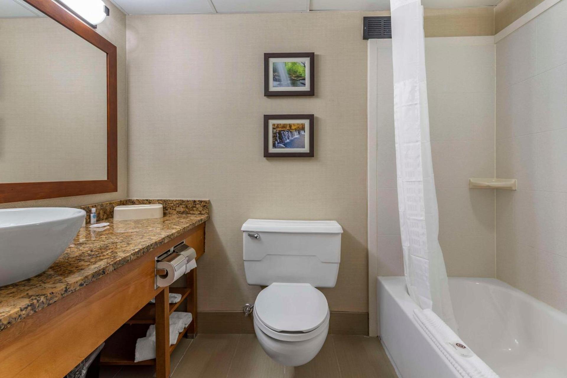 Comfort Inn & Suites Glen Mills - West Chester photo 6