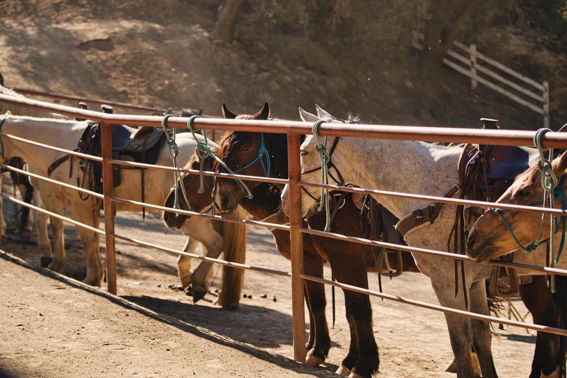 Circle Bar B Guest Ranch photo 59