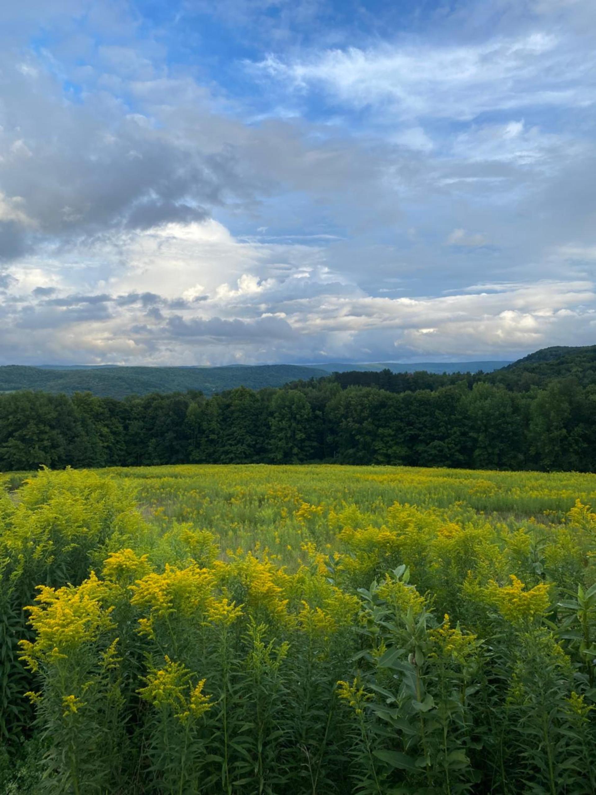 August Lodge Cooperstown photo 19