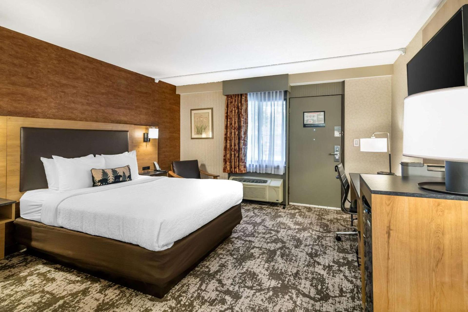 Maine Evergreen Hotel, an Ascend Collection Hotel photo 18