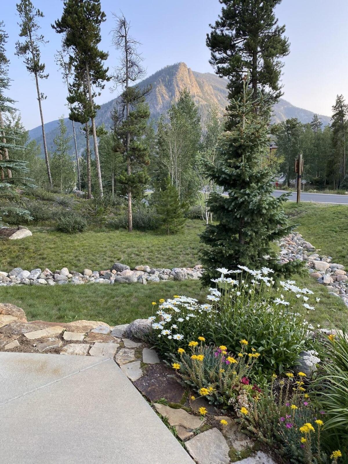 Mountain Retreat photo 65