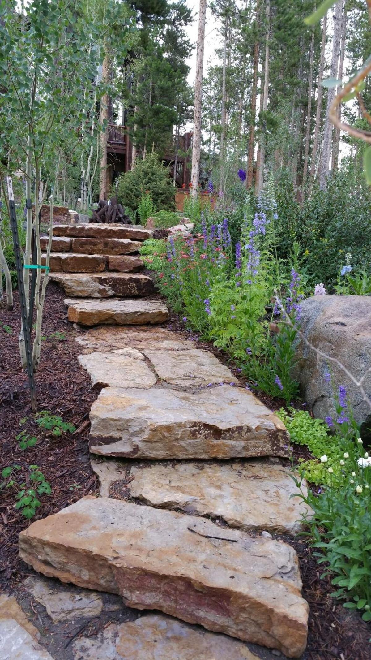 Mountain Retreat photo 73