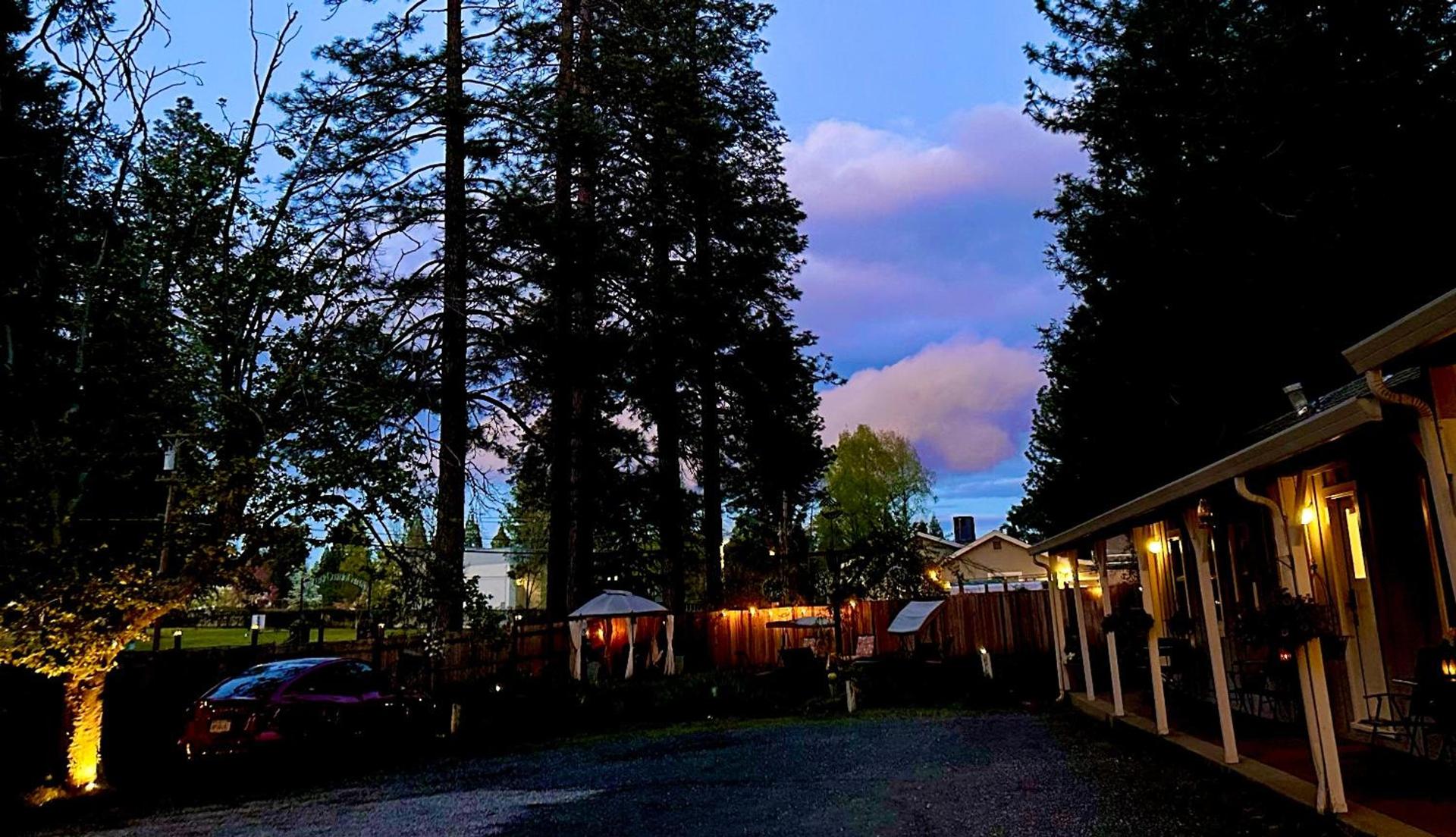 The Pines Inn and Cottages photo 61