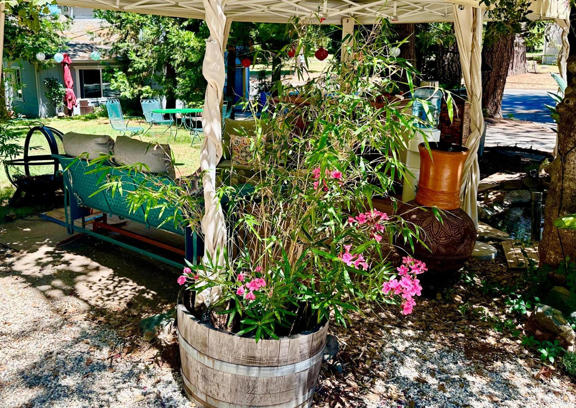 The Pines Inn and Cottages photo 76