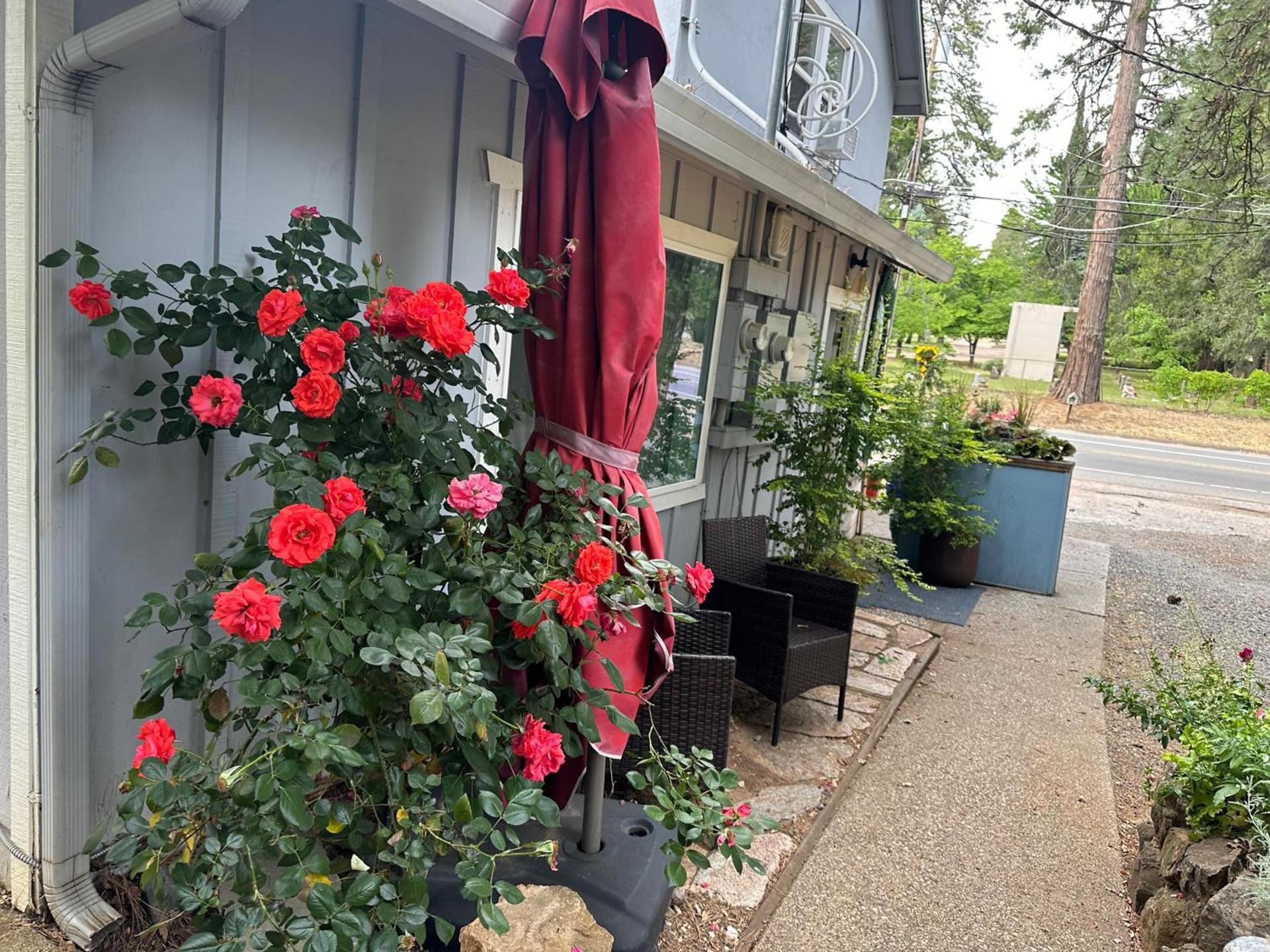 The Pines Inn and Cottages photo 3
