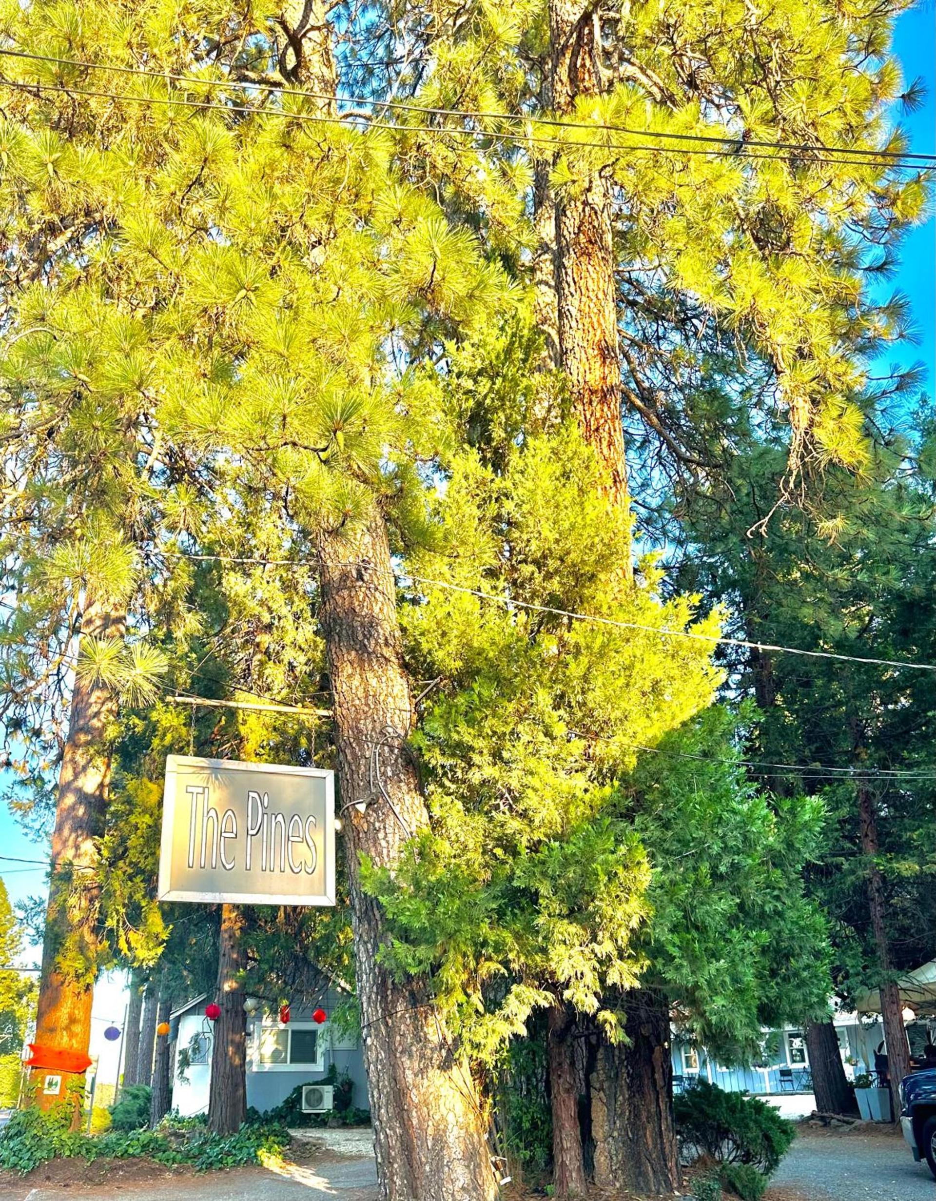 The Pines Inn and Cottages photo 73