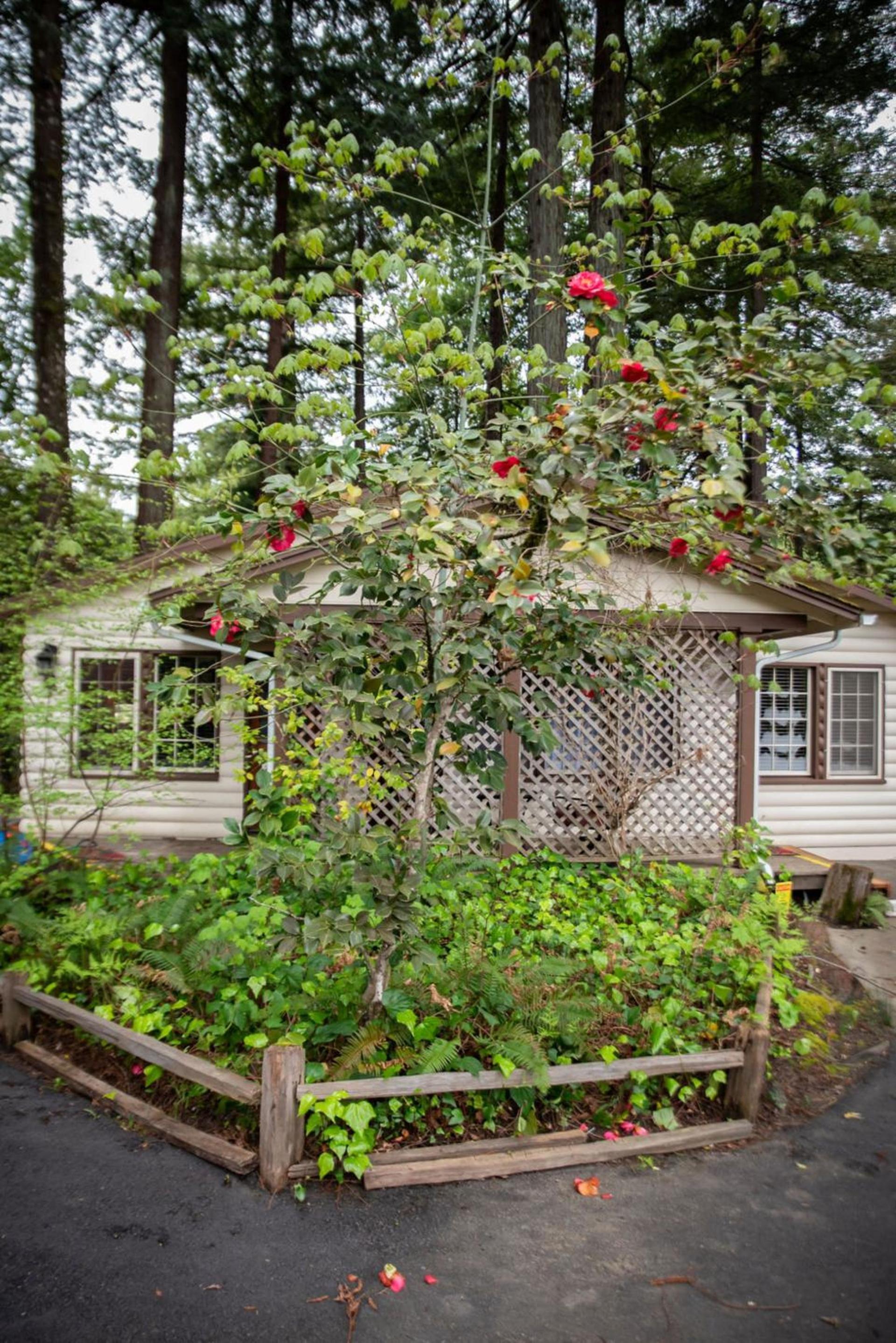 Miranda Gardens Resort photo 51
