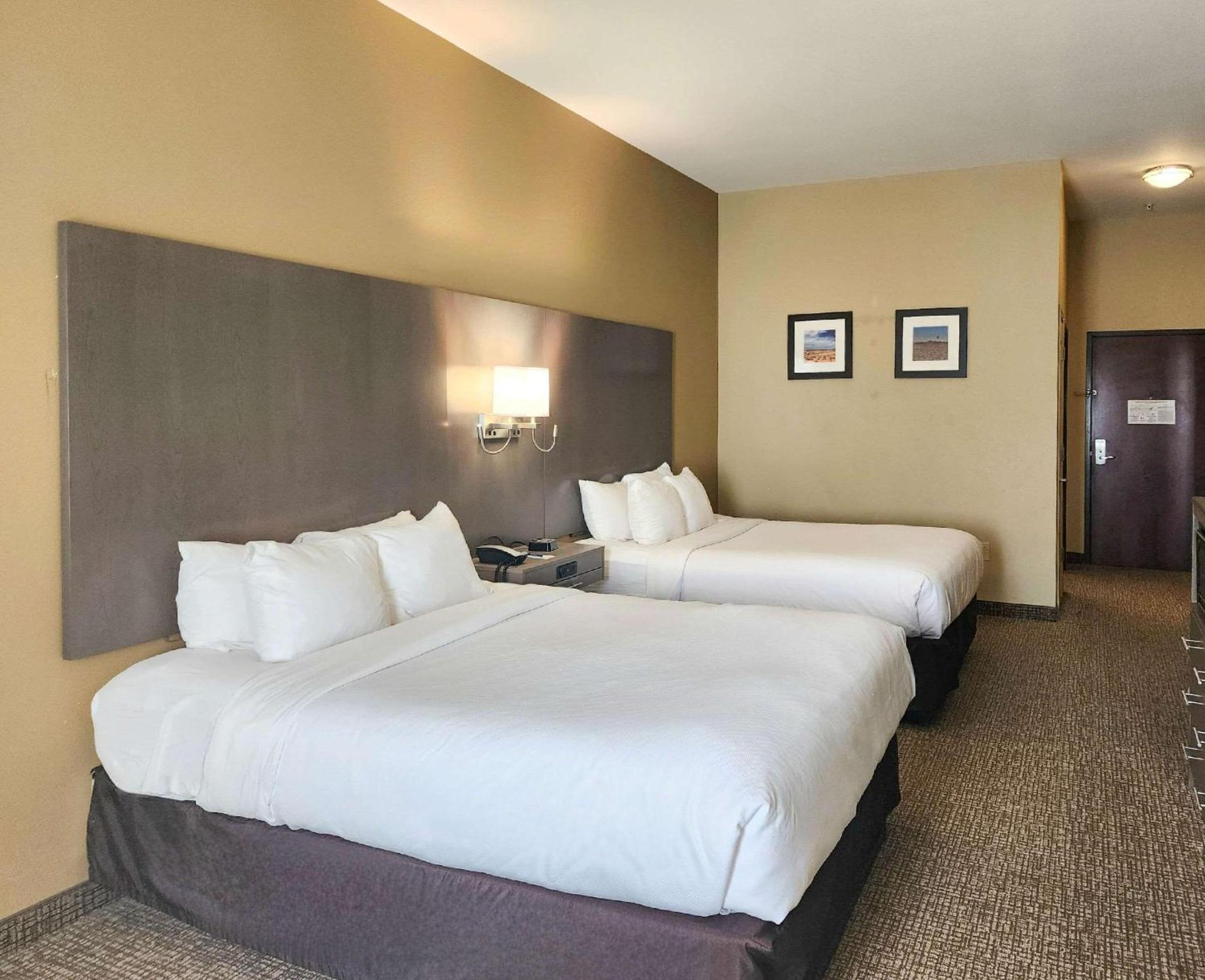Comfort Inn & Suites Monahans I-20 photo 6