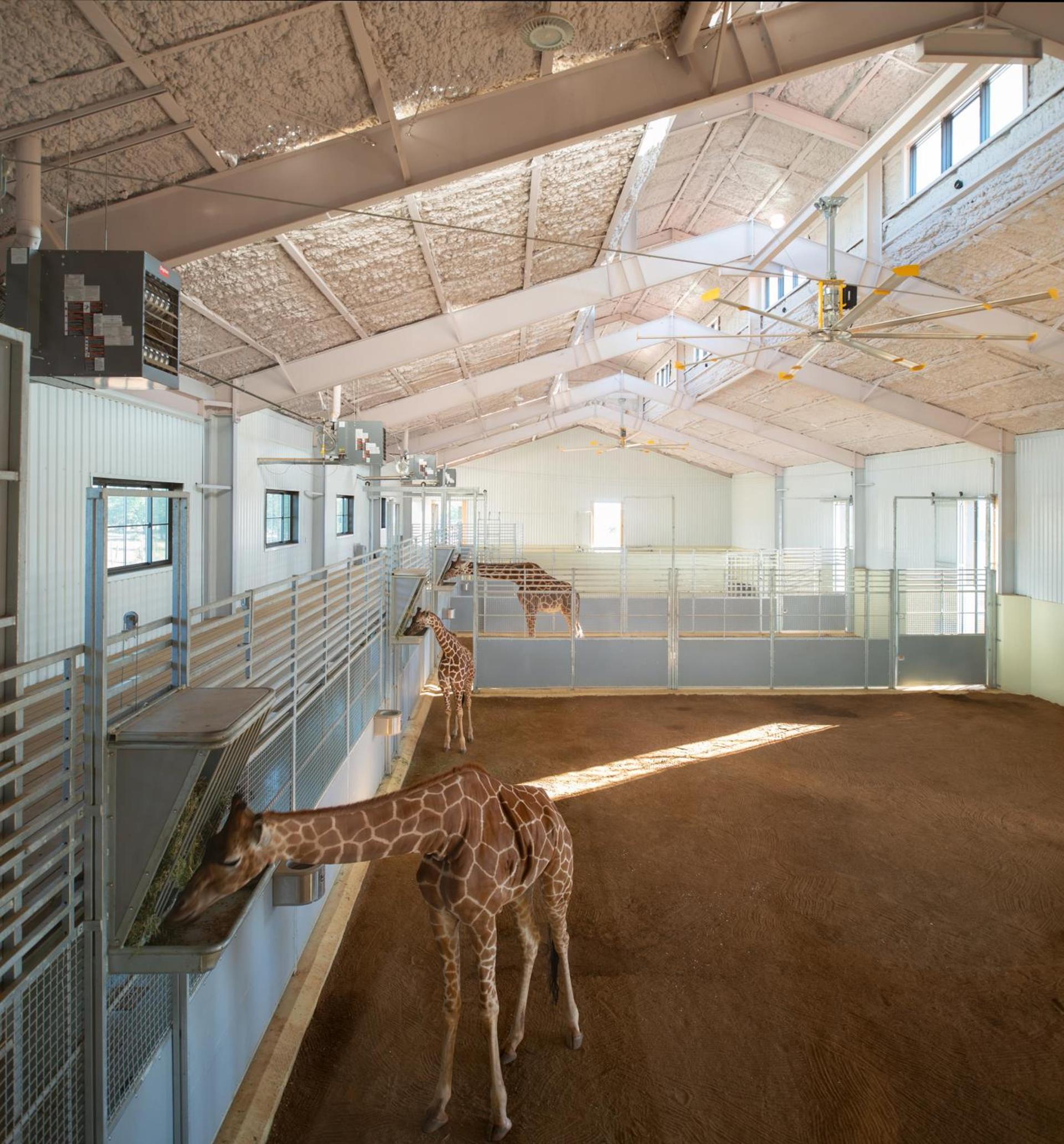 Longneck Manor photo 12