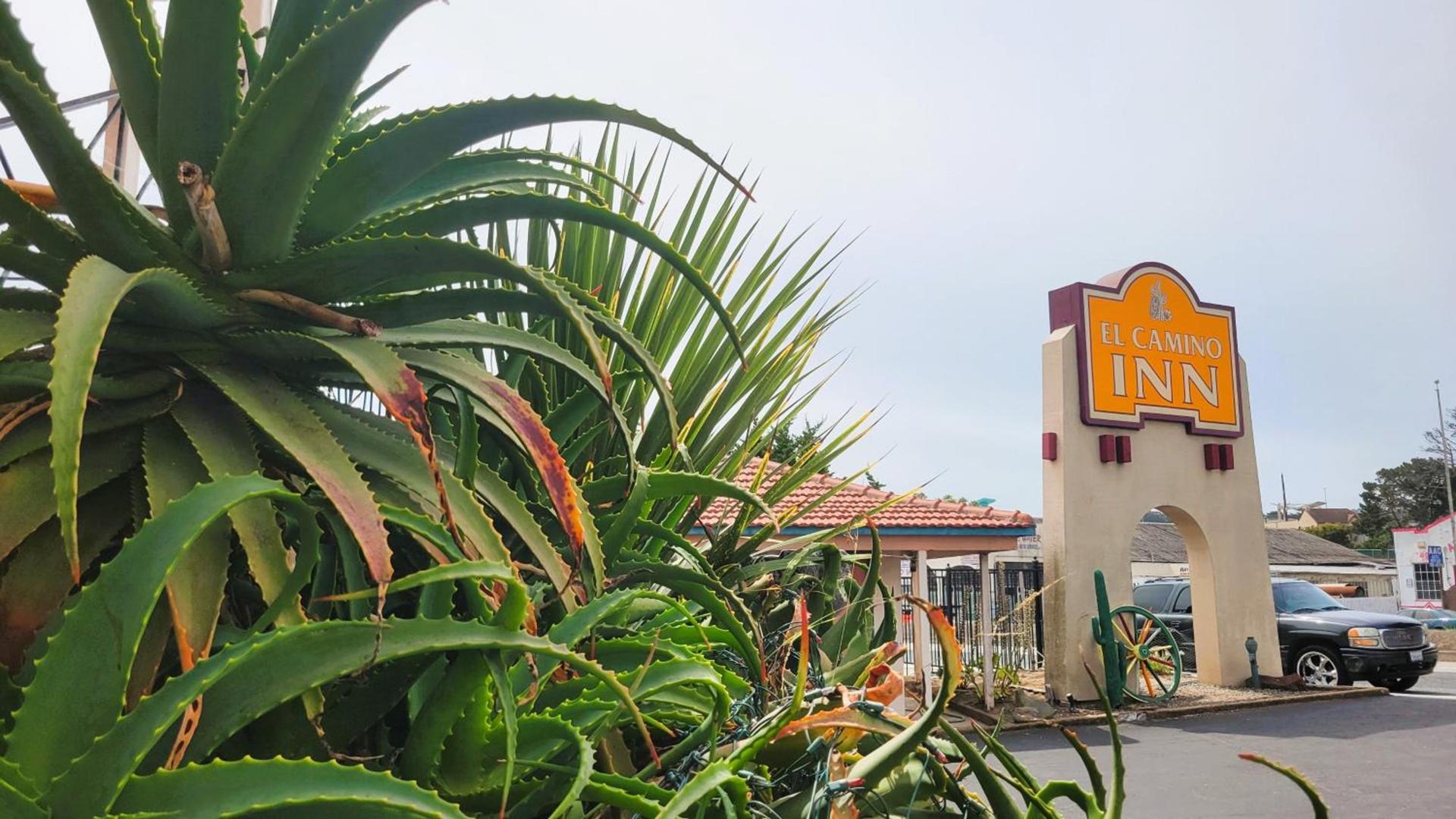 El Camino Inn photo 3