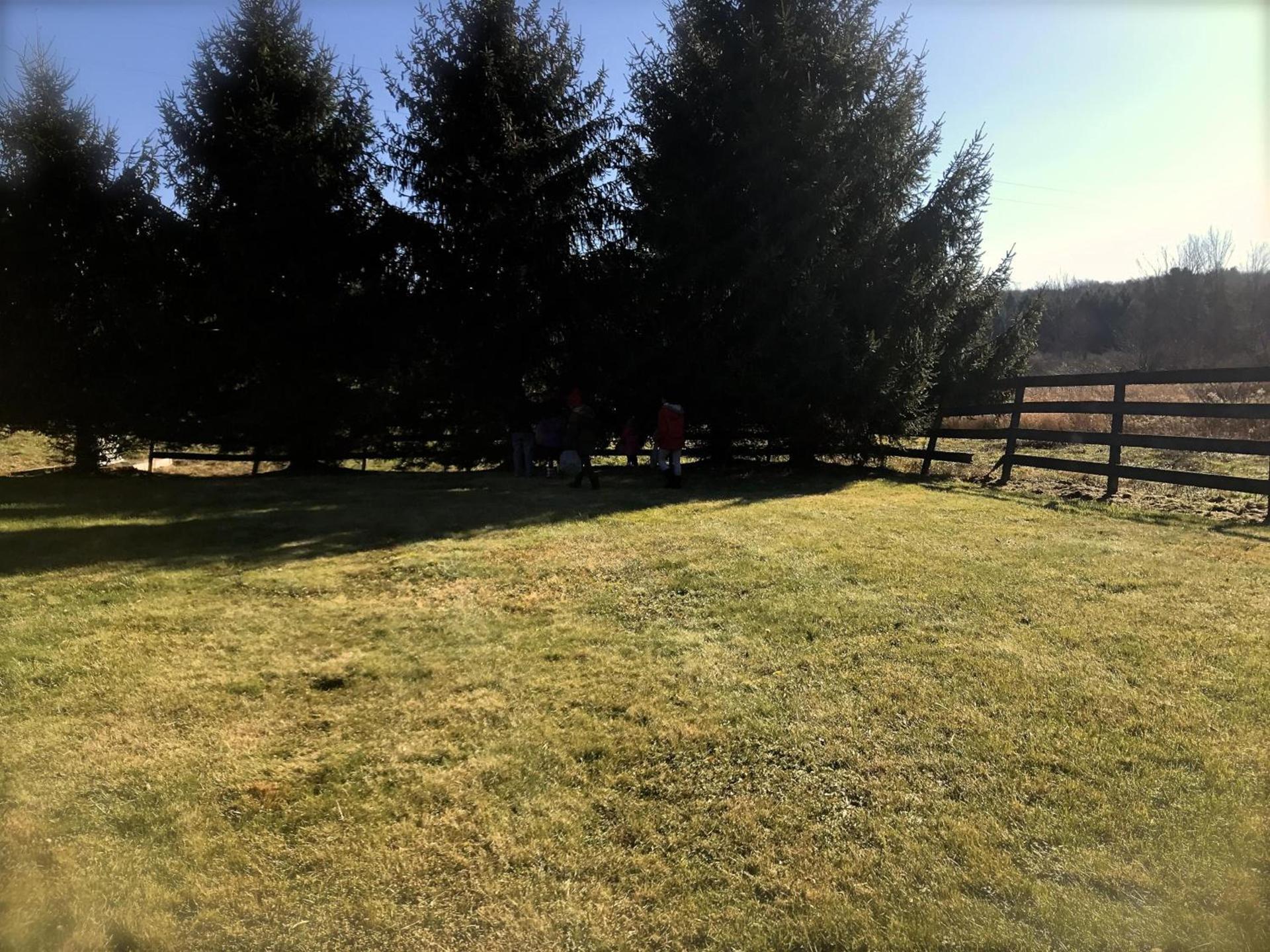 Equestrian House Suites photo 33
