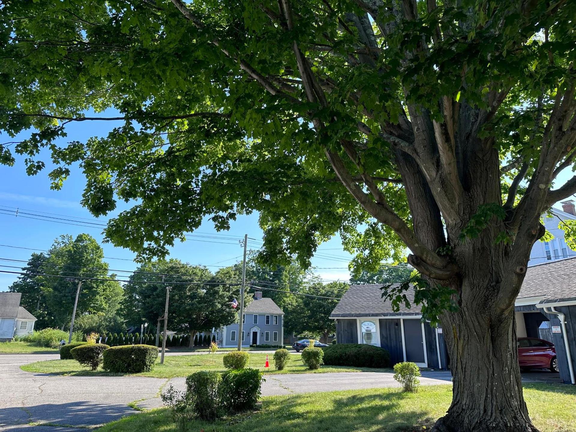 Village Motel photo 53