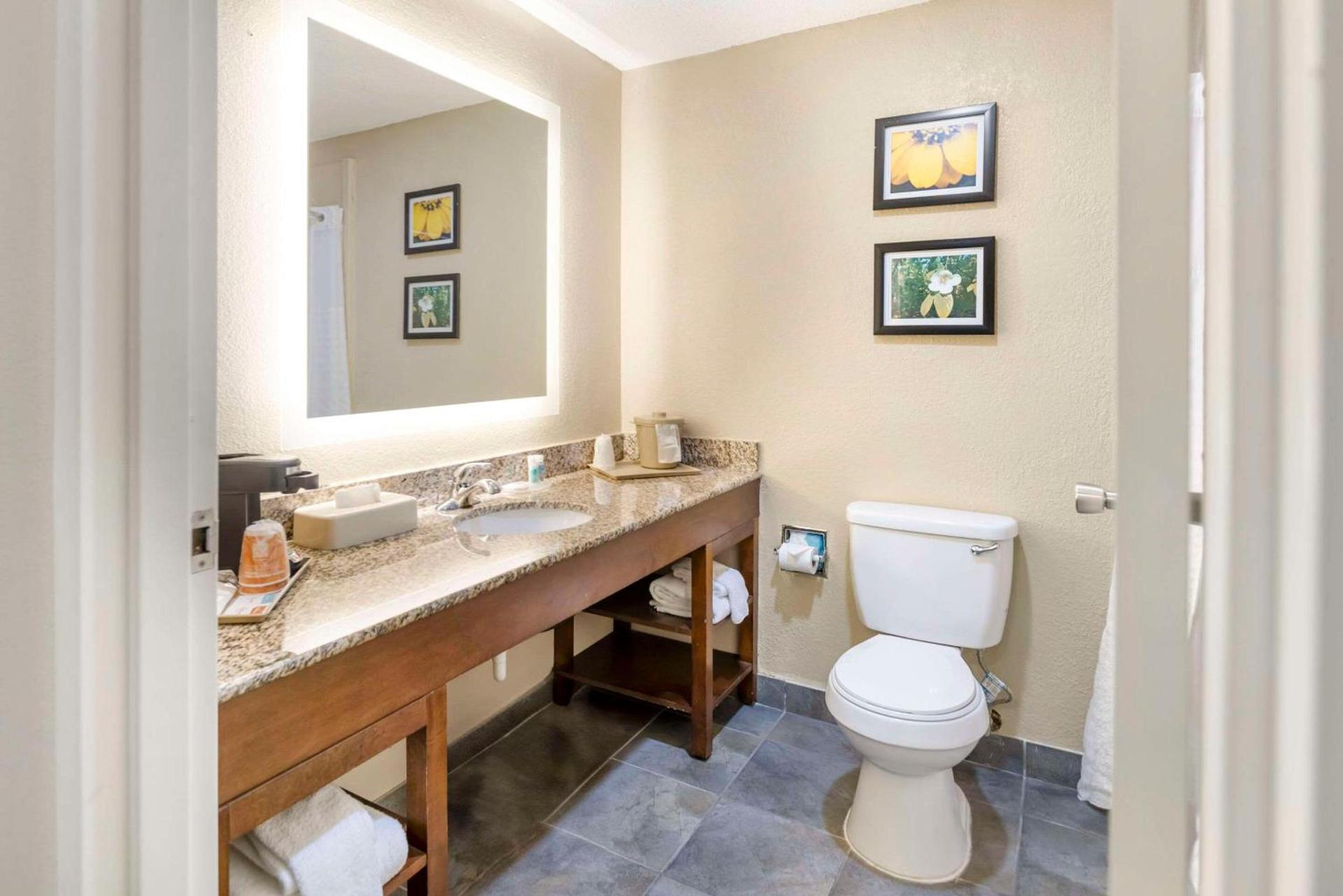 Comfort Inn Meridian - Bonita Lakes photo 12
