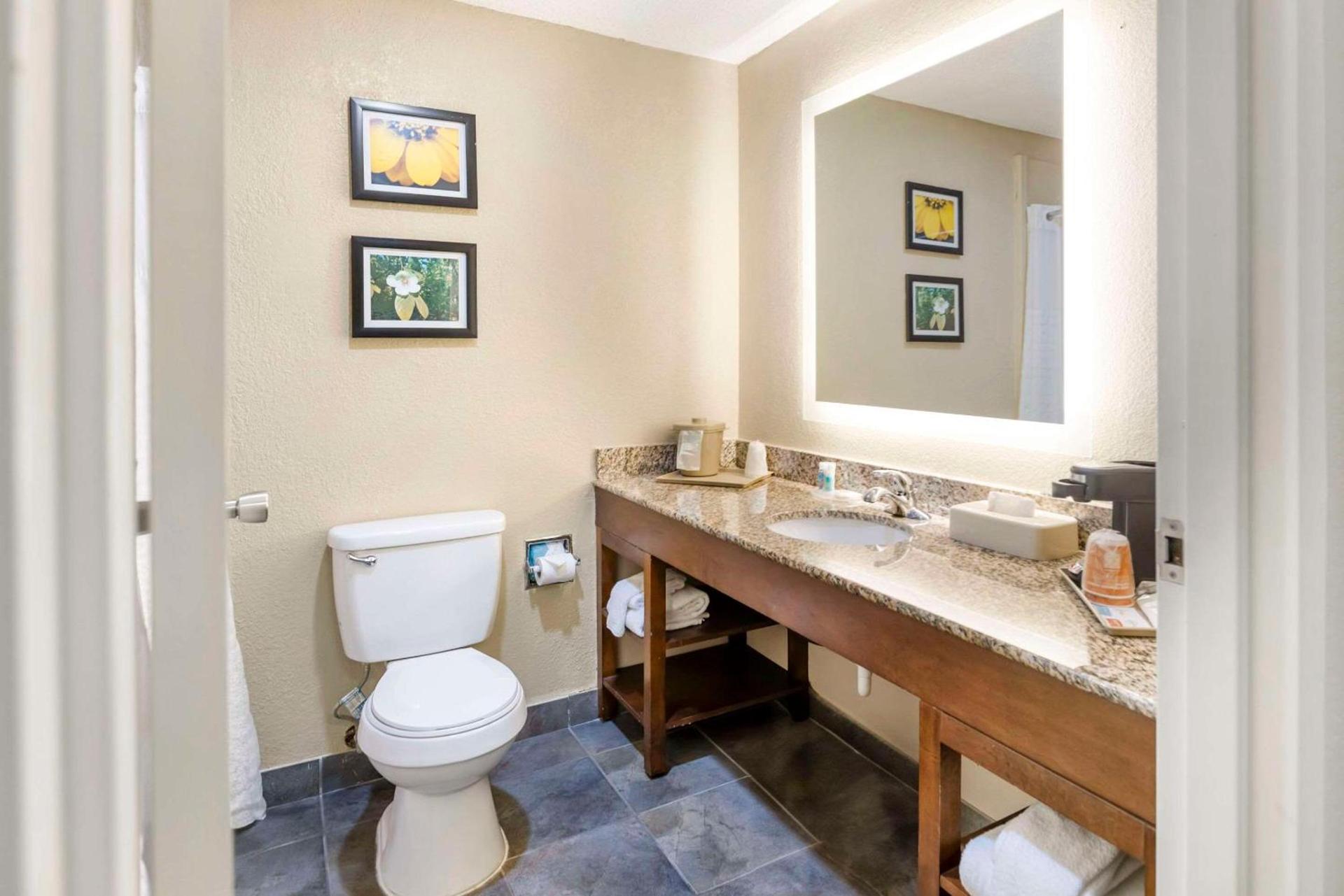 Comfort Inn Meridian - Bonita Lakes photo 26