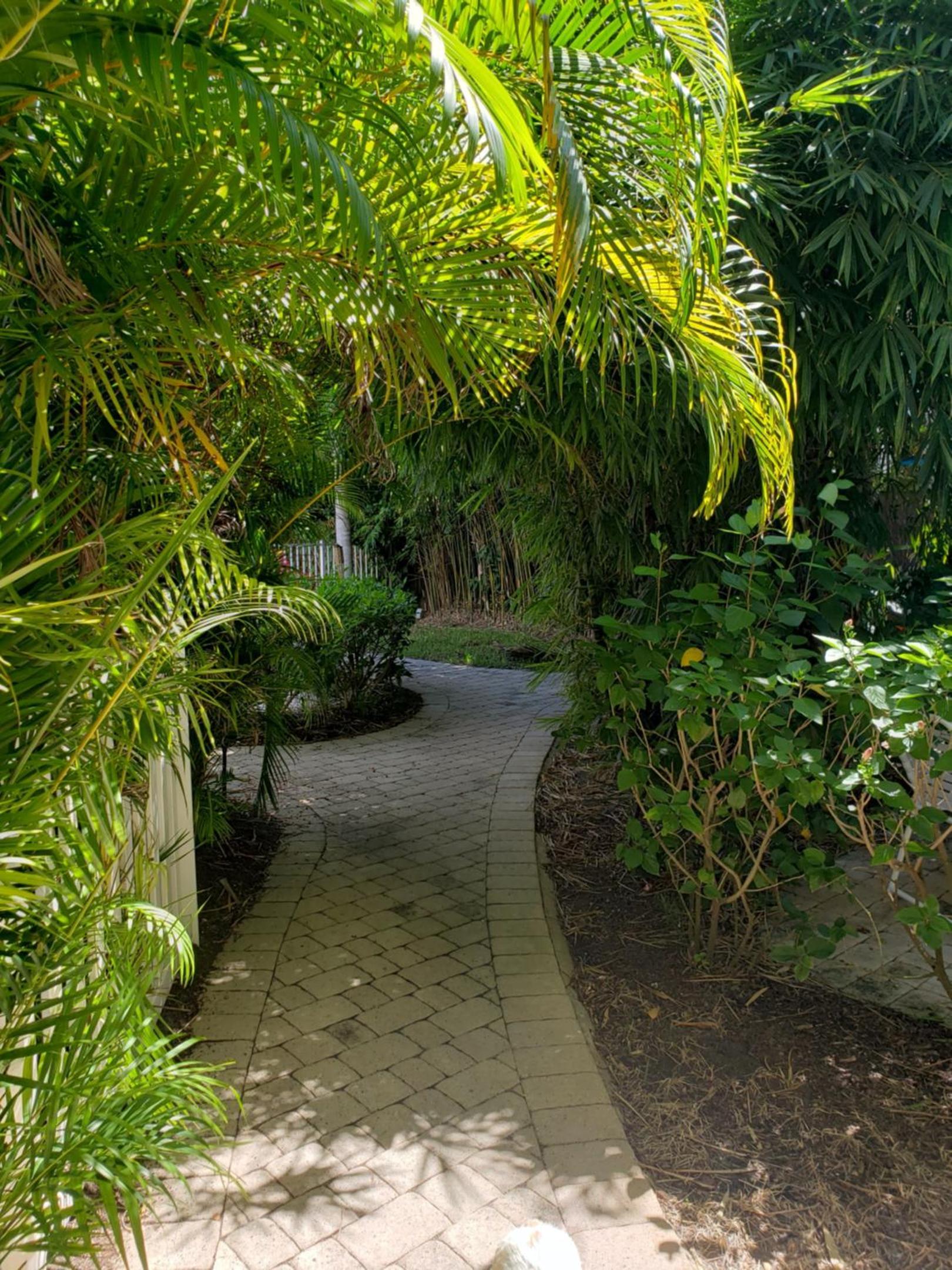 The Sea Spray Resort photo 7