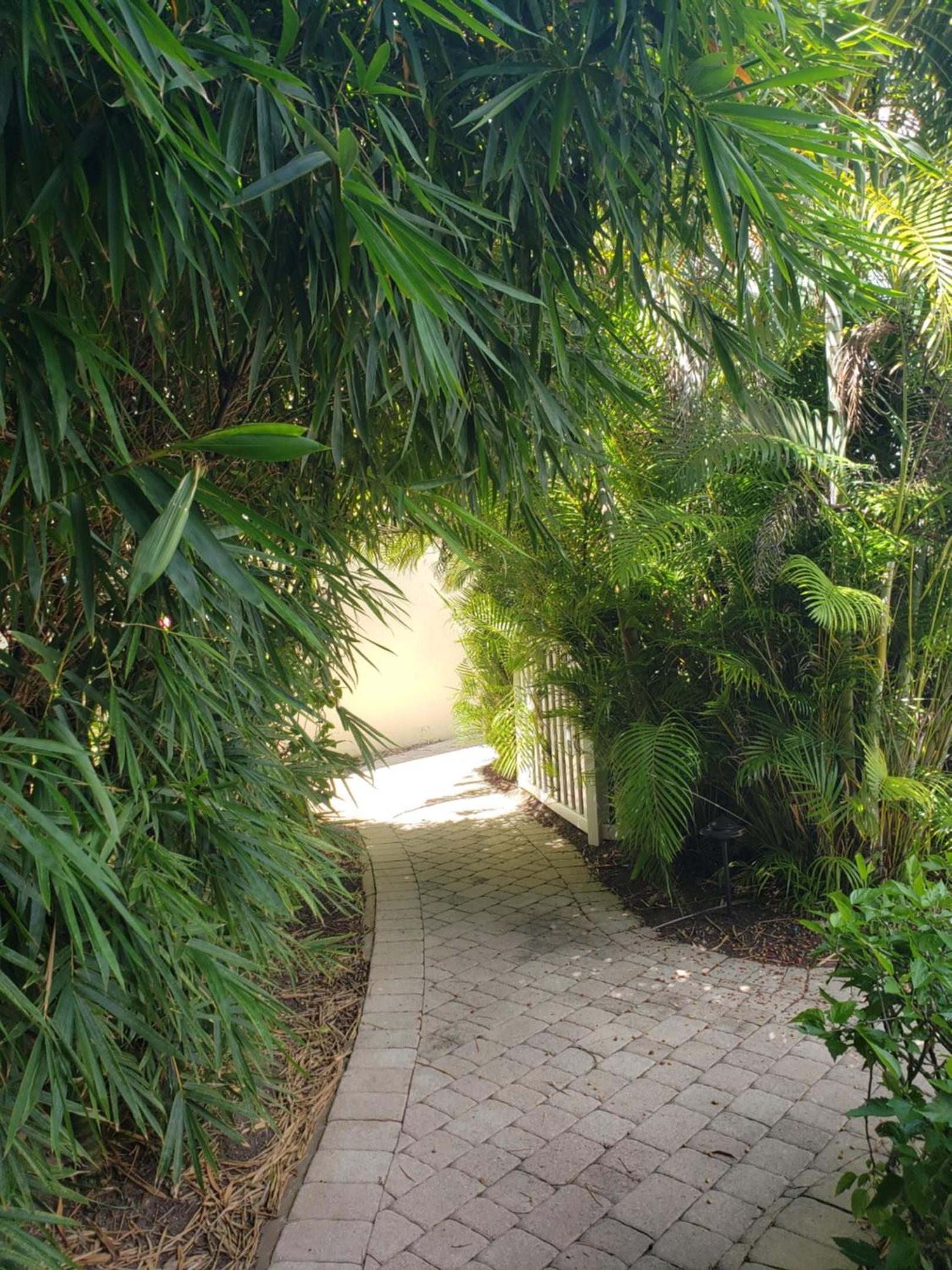 The Sea Spray Resort photo 8