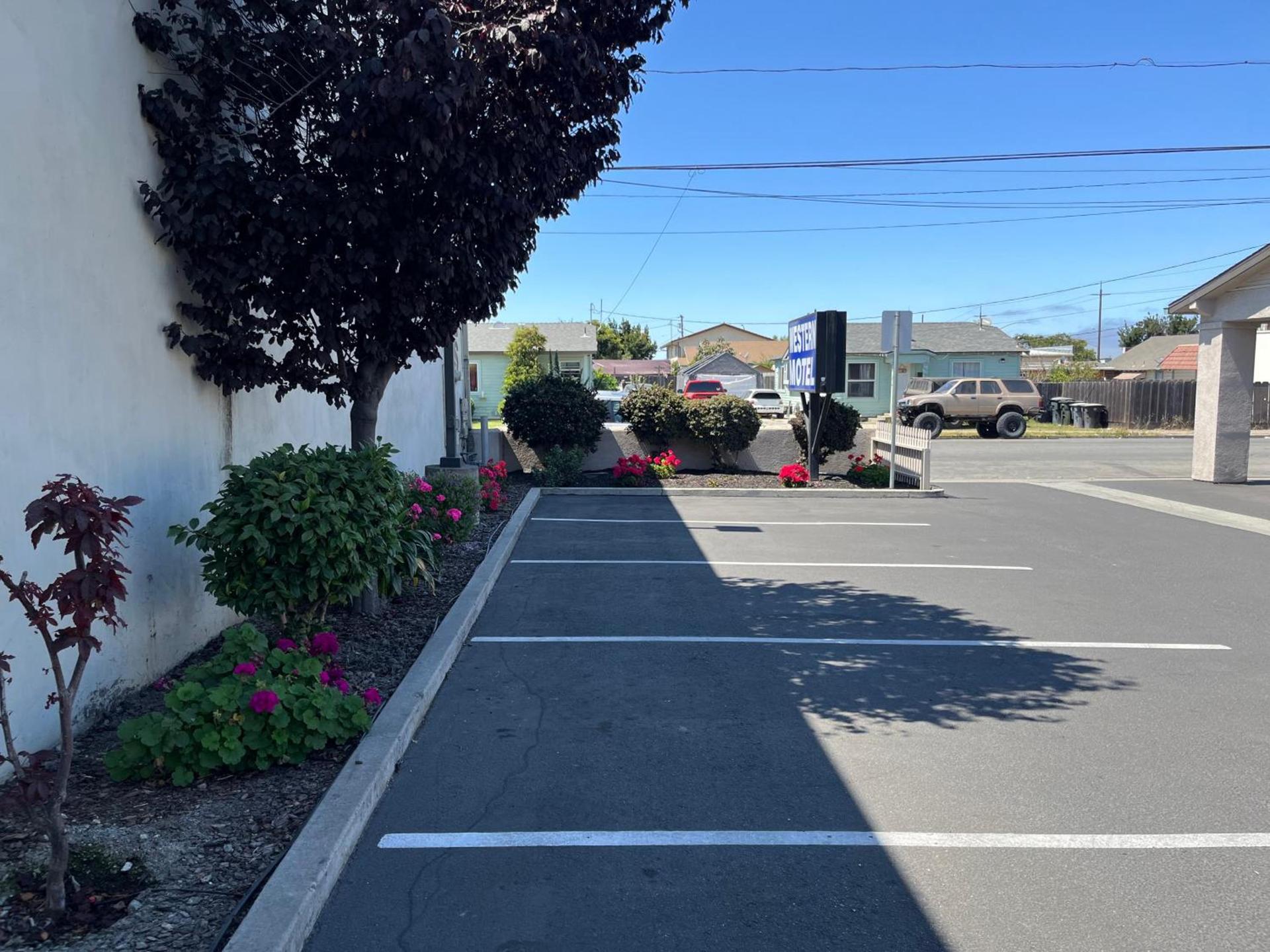 Western Motel photo 9