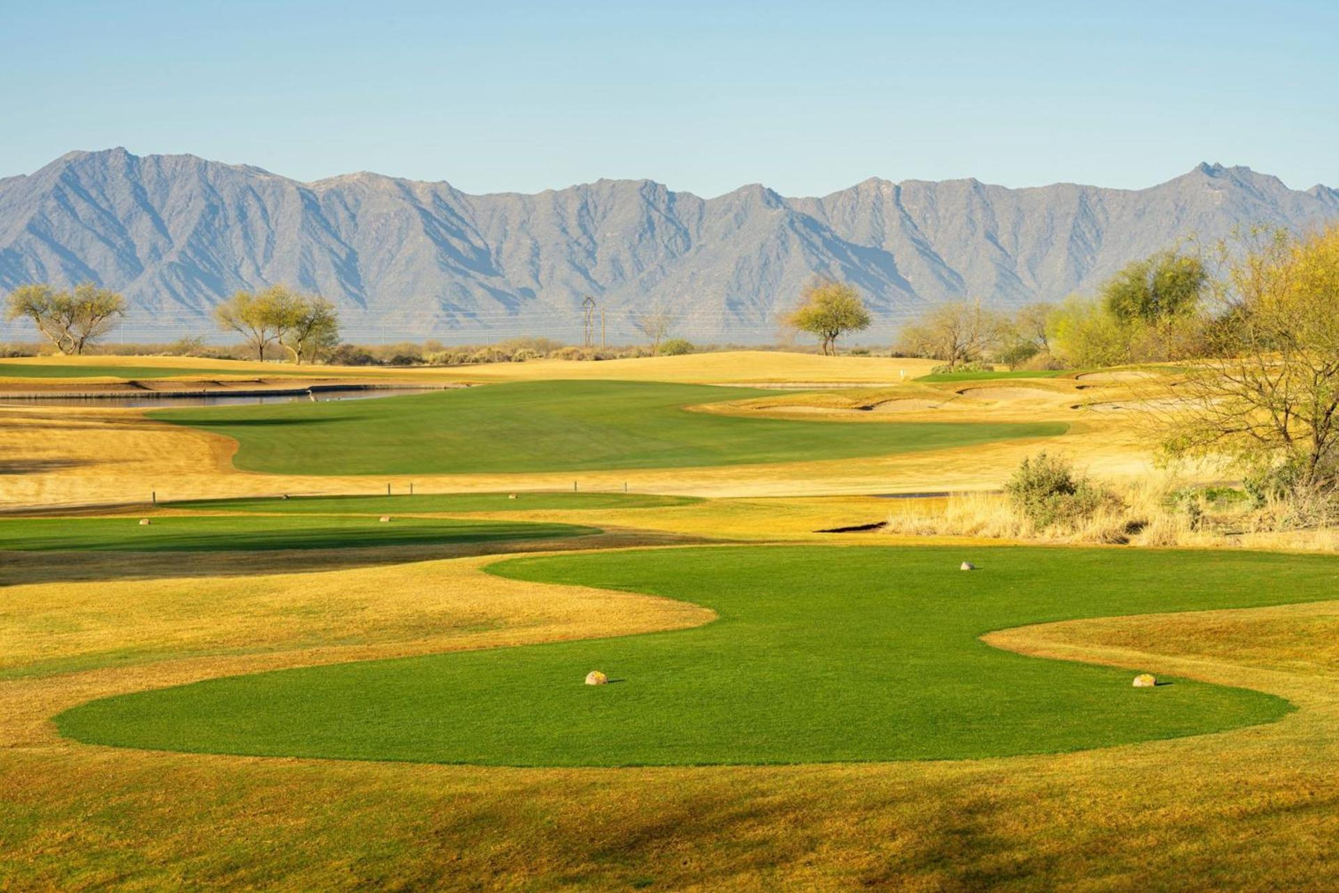 Sheraton Grand at Wild Horse Pass photo 92