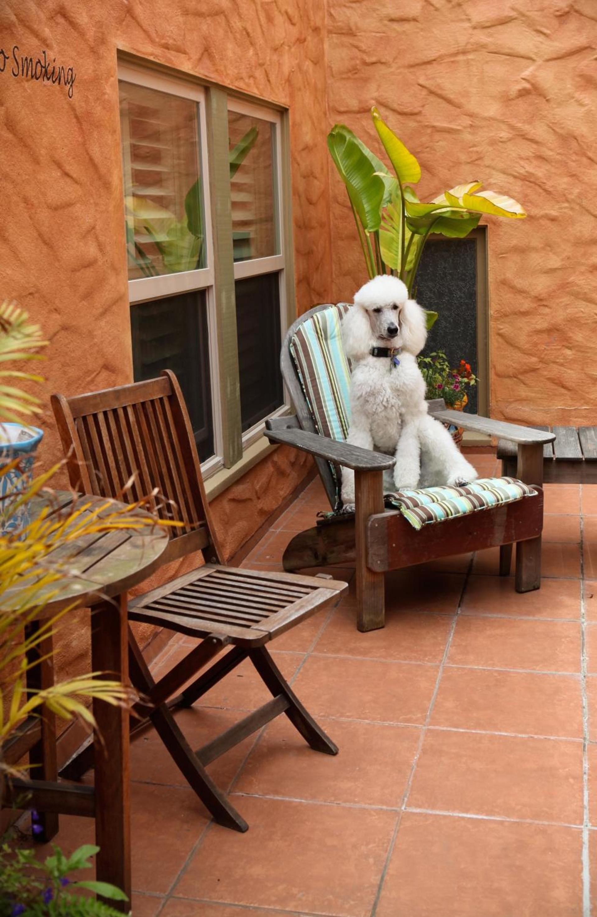 Half Moon Bay Inn photo 27