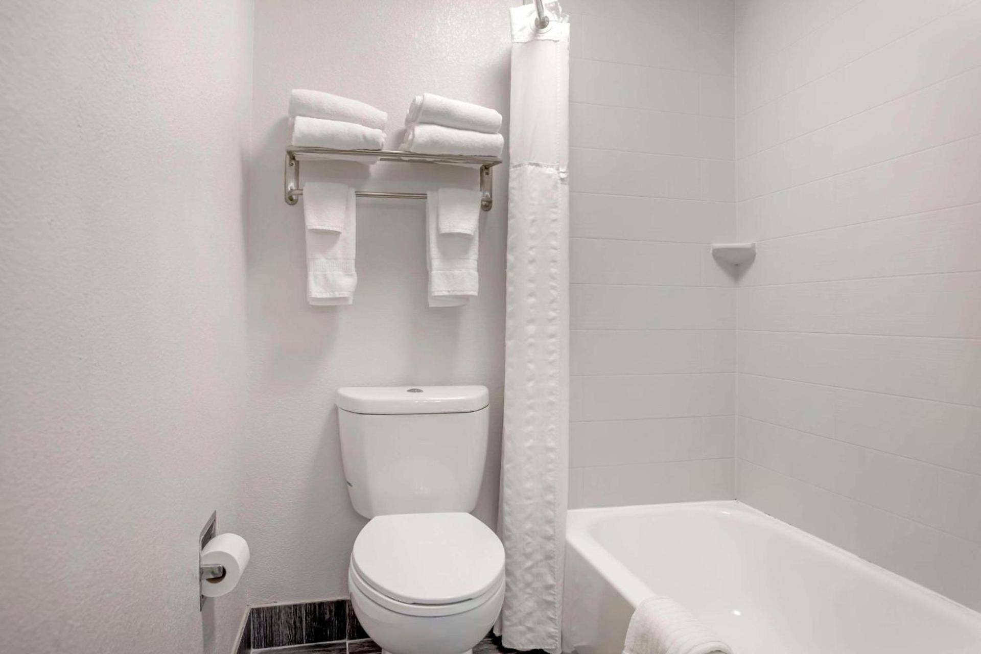 Comfort Suites Nashville Airport - BNA photo 3