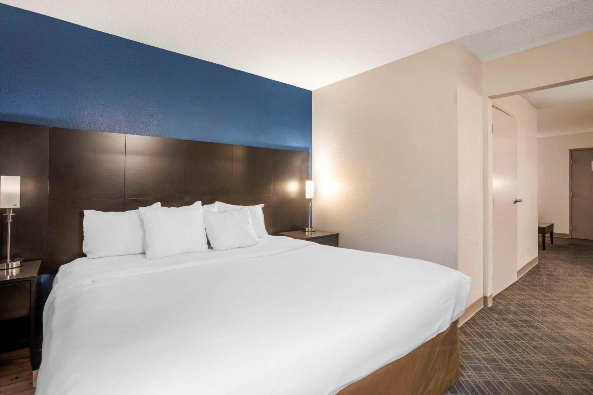 Comfort Suites Nashville Airport - BNA photo 21