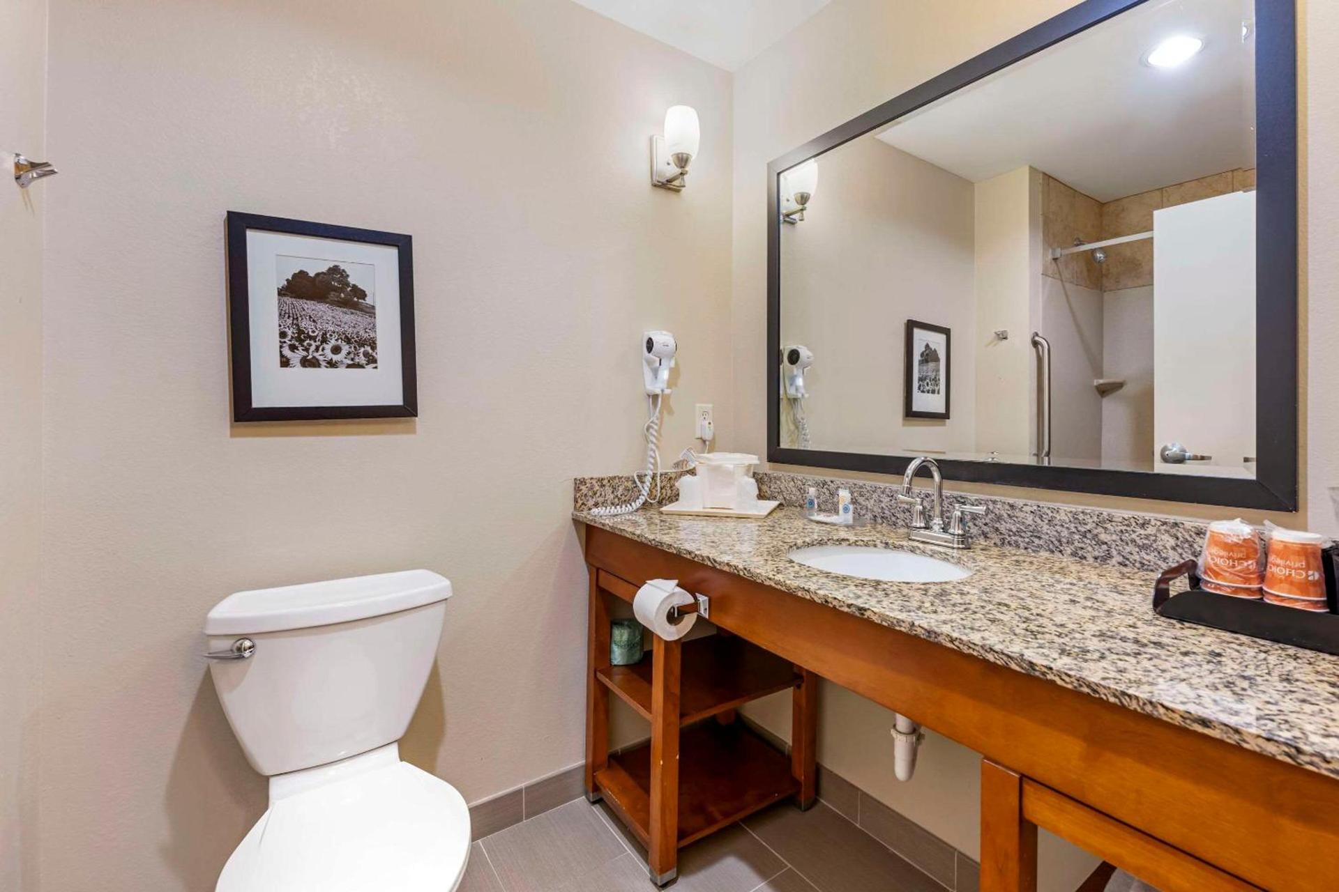 Comfort Suites East Lincoln - Mall Area photo 10