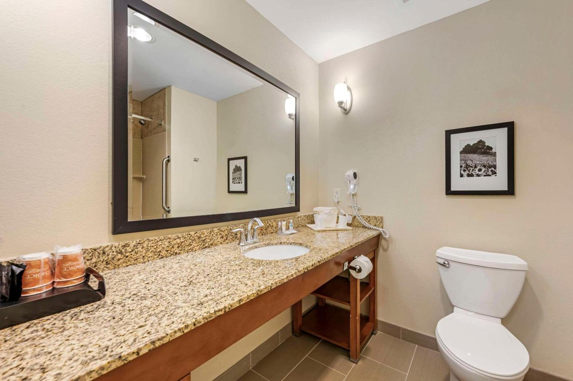 Comfort Suites East Lincoln - Mall Area photo 13