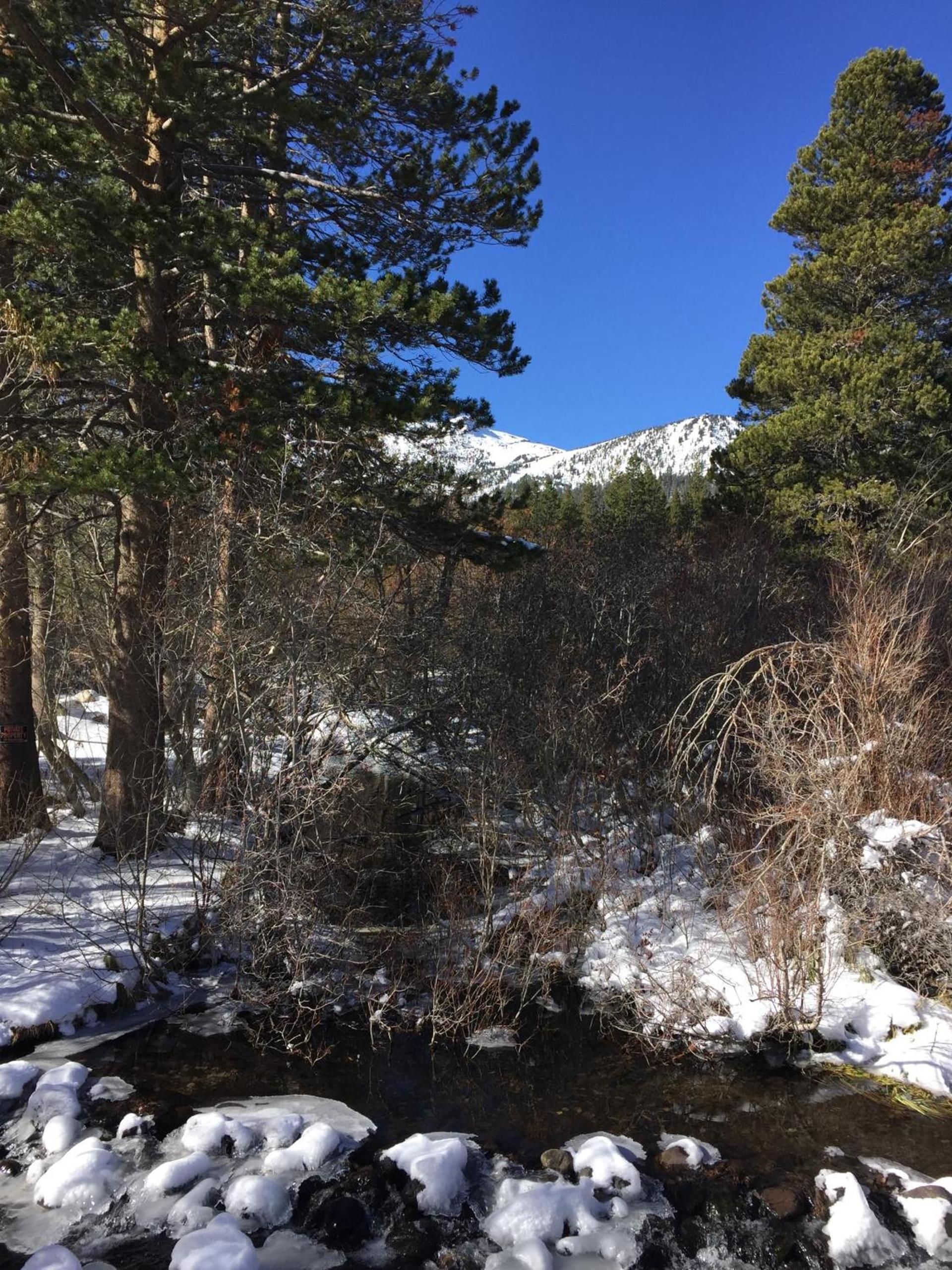 Edelweiss Lodge photo 50