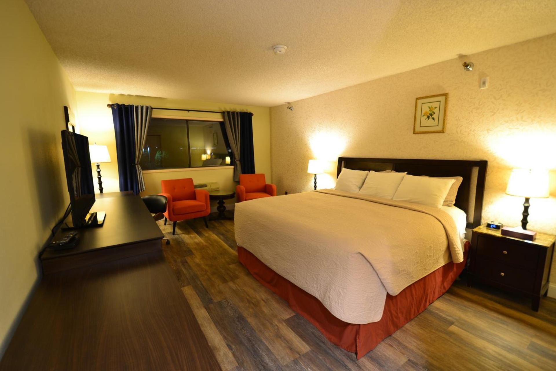 Hotel International photo 4