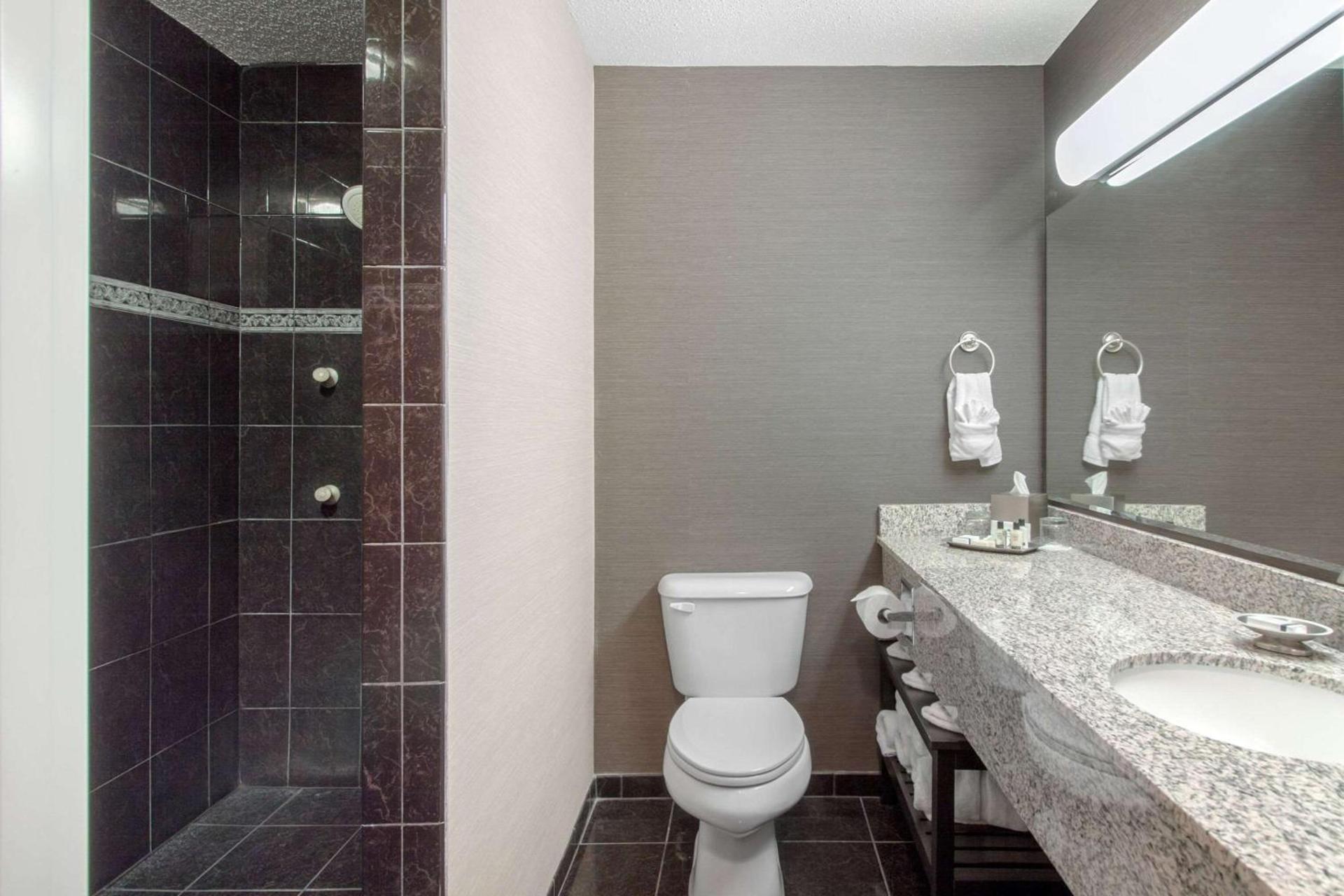Norfolk Lodge & Suites, an Ascend Collection Hotel photo 28