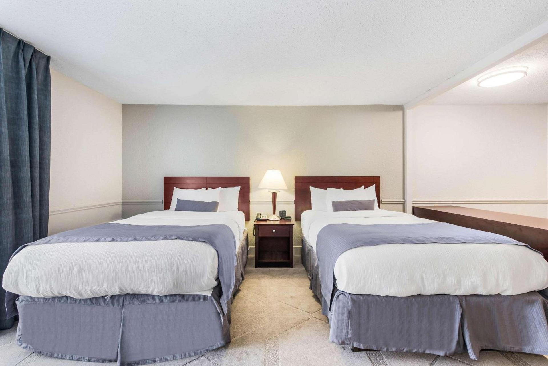 The Blu Hotel Blue Ash Cincinnati, an Ascend Collection Hotel photo 7