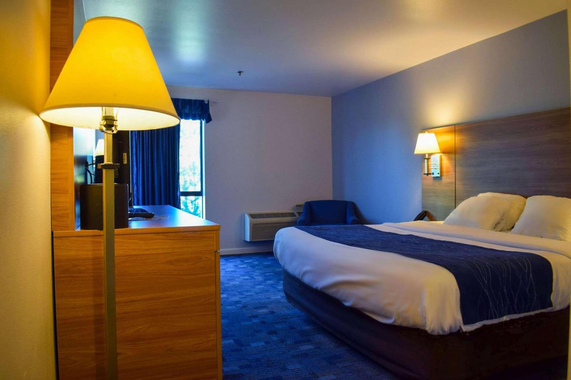 Comfort Inn Bellingham photo 52
