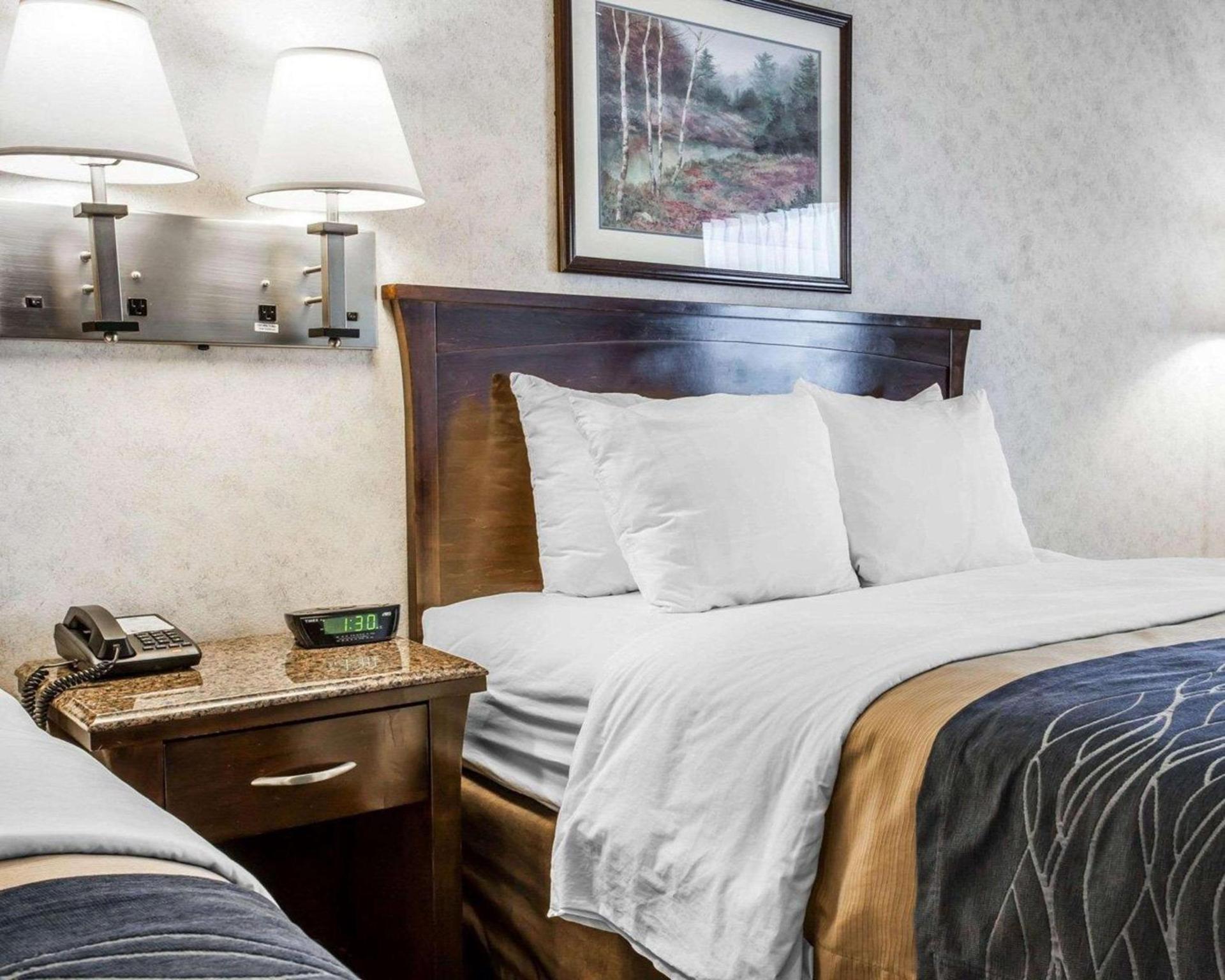 Comfort Inn Bellingham photo 12