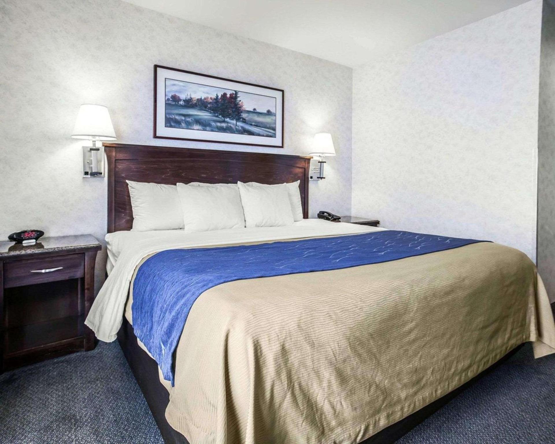 Comfort Inn Bellingham photo 30