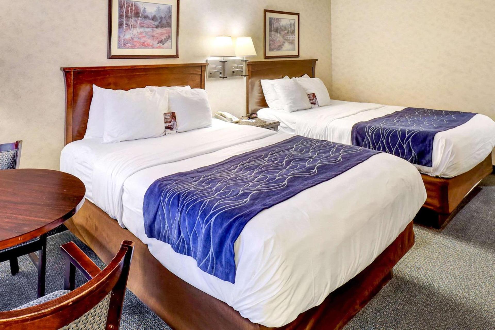 Comfort Inn Bellingham photo 35
