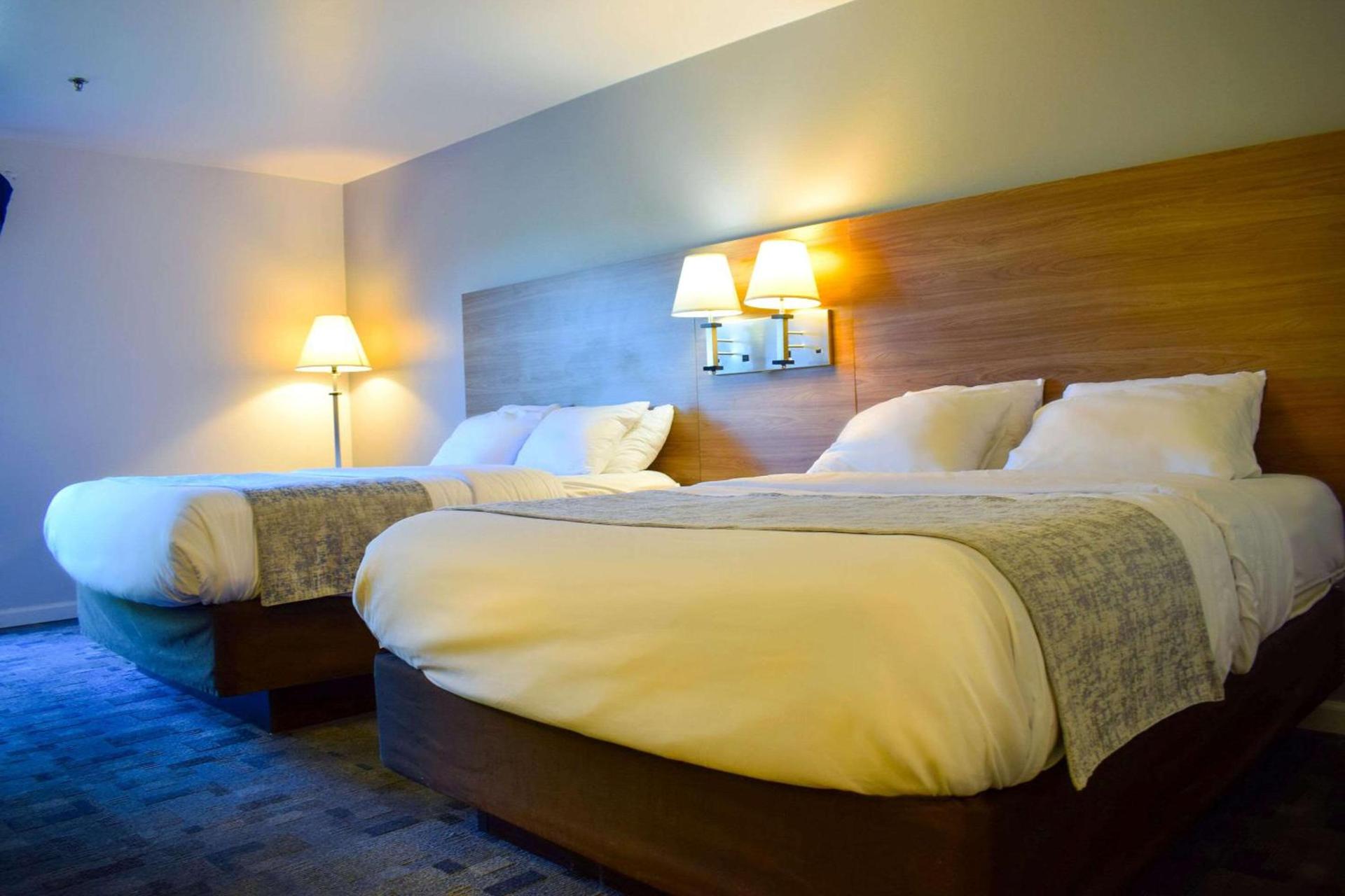 Comfort Inn Bellingham photo 42