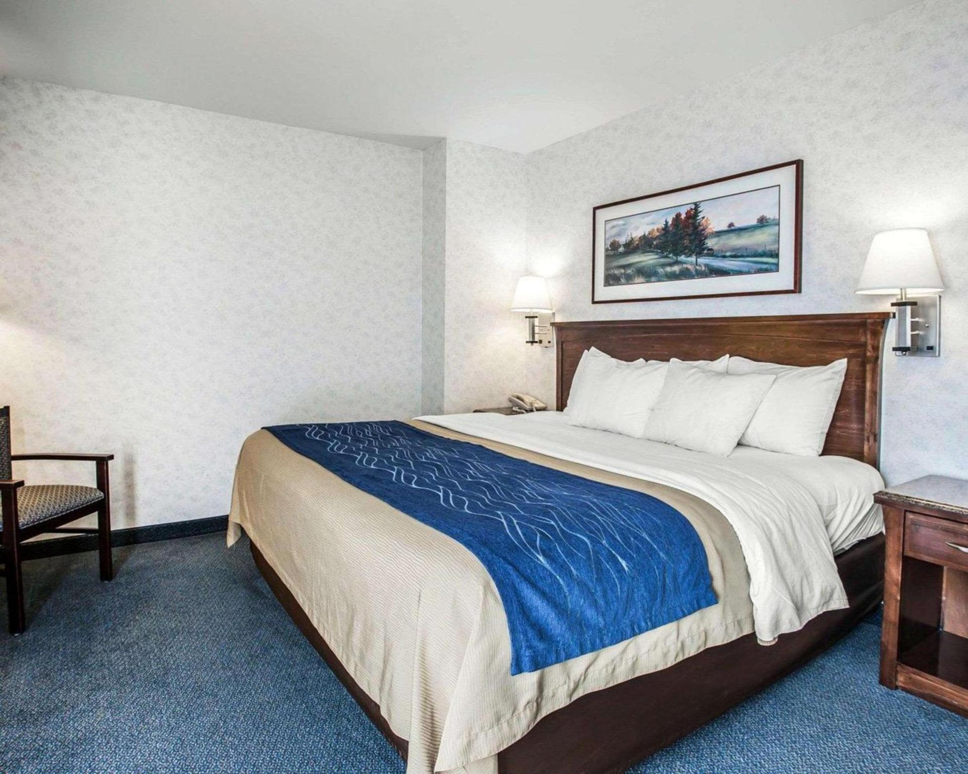Comfort Inn Bellingham photo 58