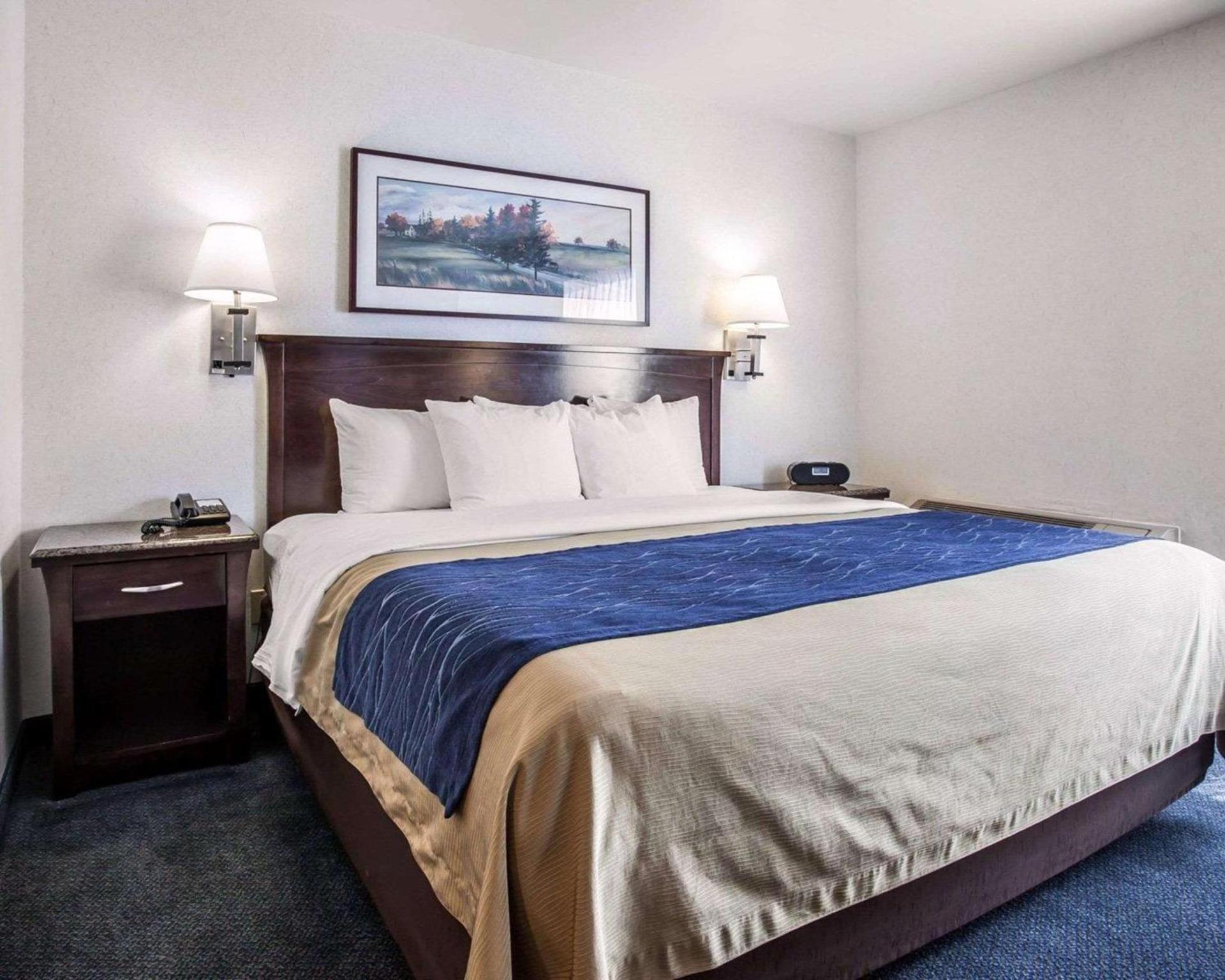 Comfort Inn Bellingham photo 59