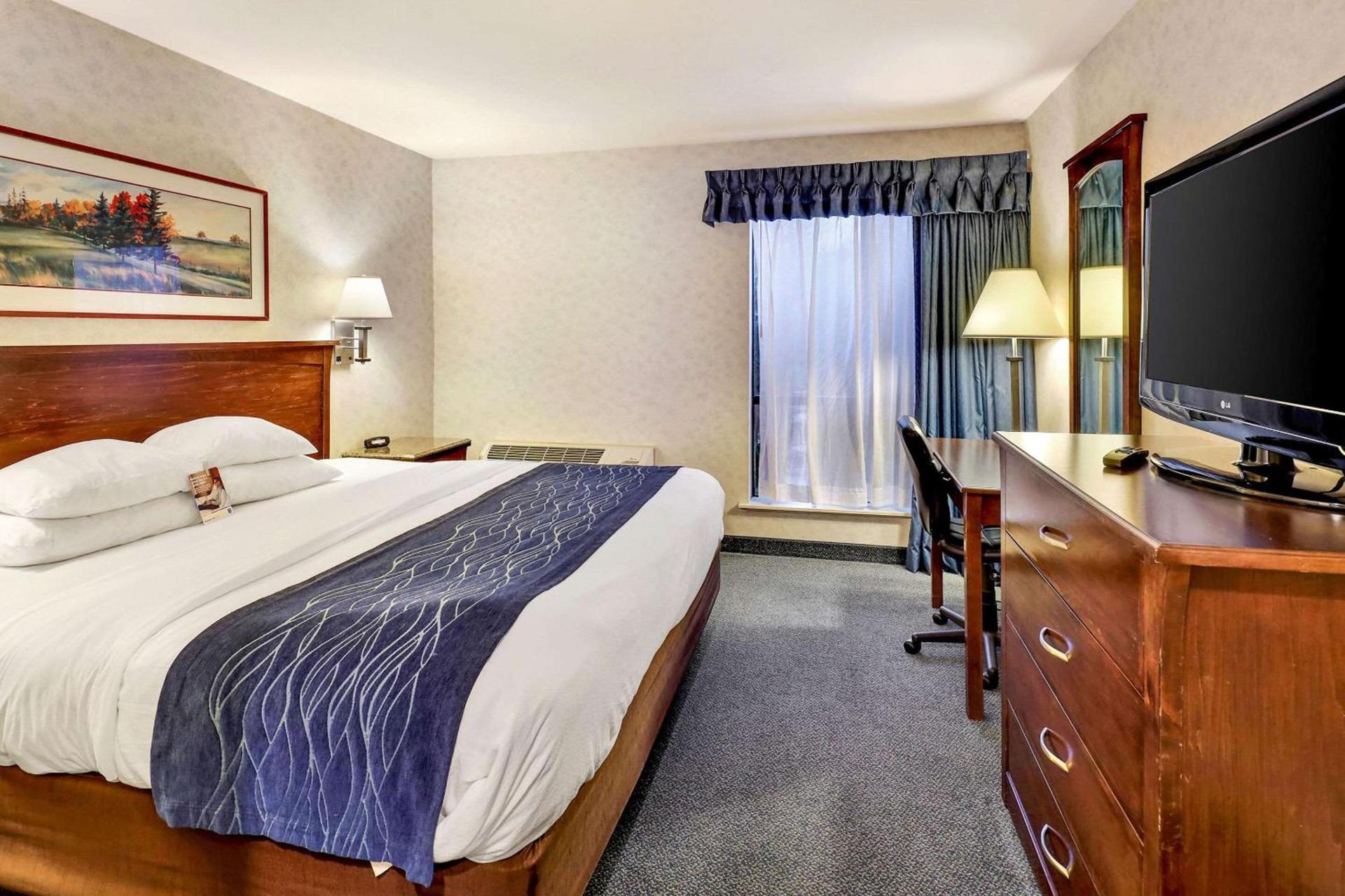 Comfort Inn Bellingham photo 68