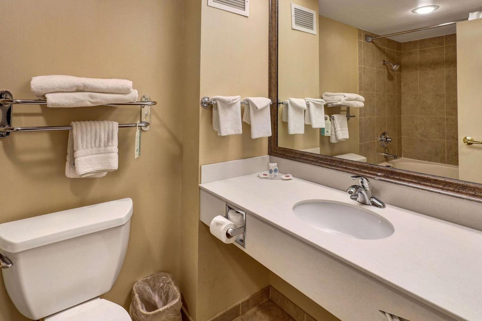 Comfort Inn Bellingham photo 71