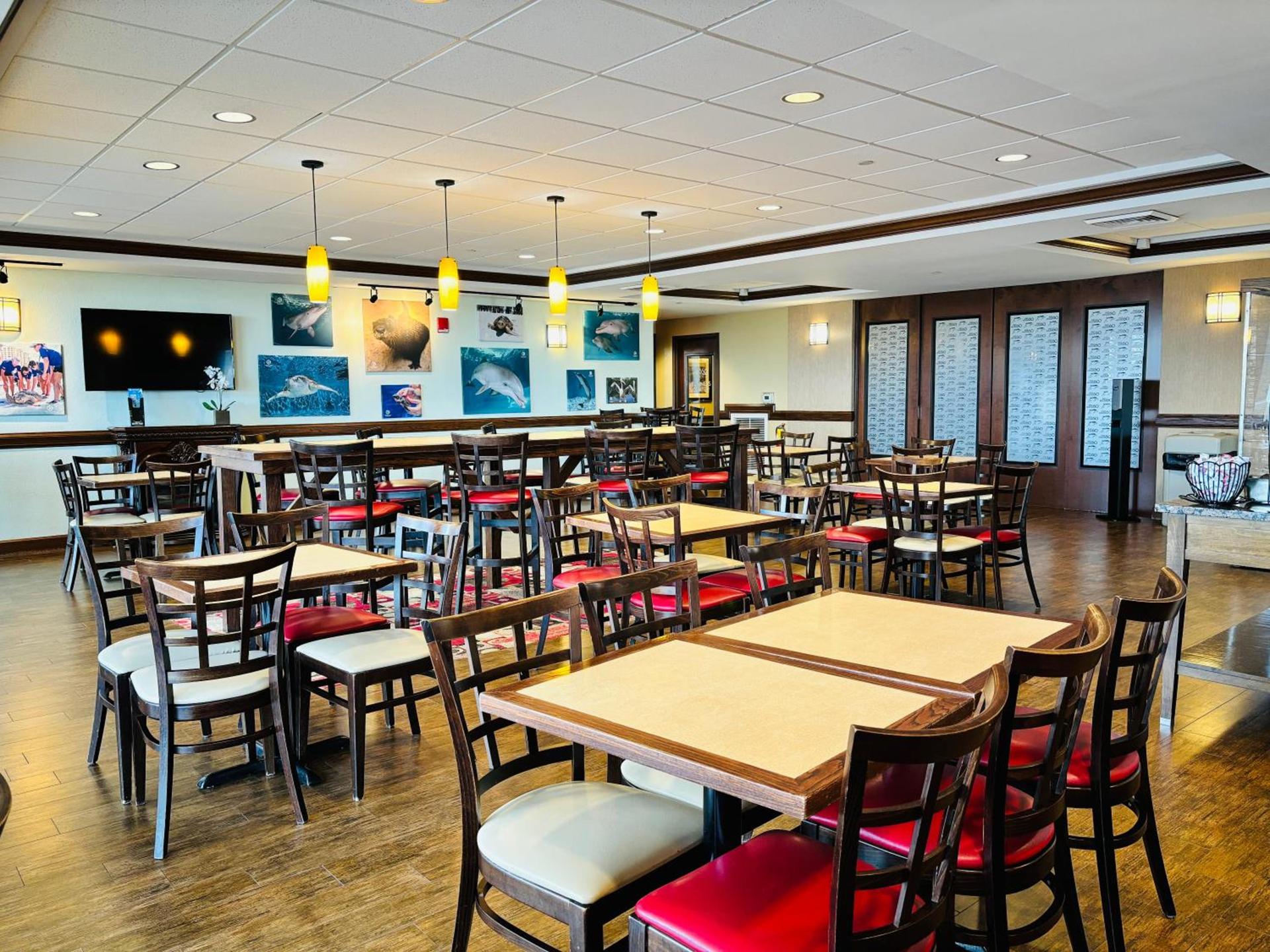 Pier House 60 Clearwater Beach Marina Hotel photo 24