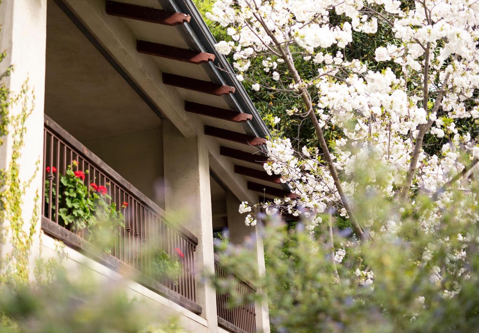 Appellation Lodi - Wine & Roses Resort and Spa photo 65