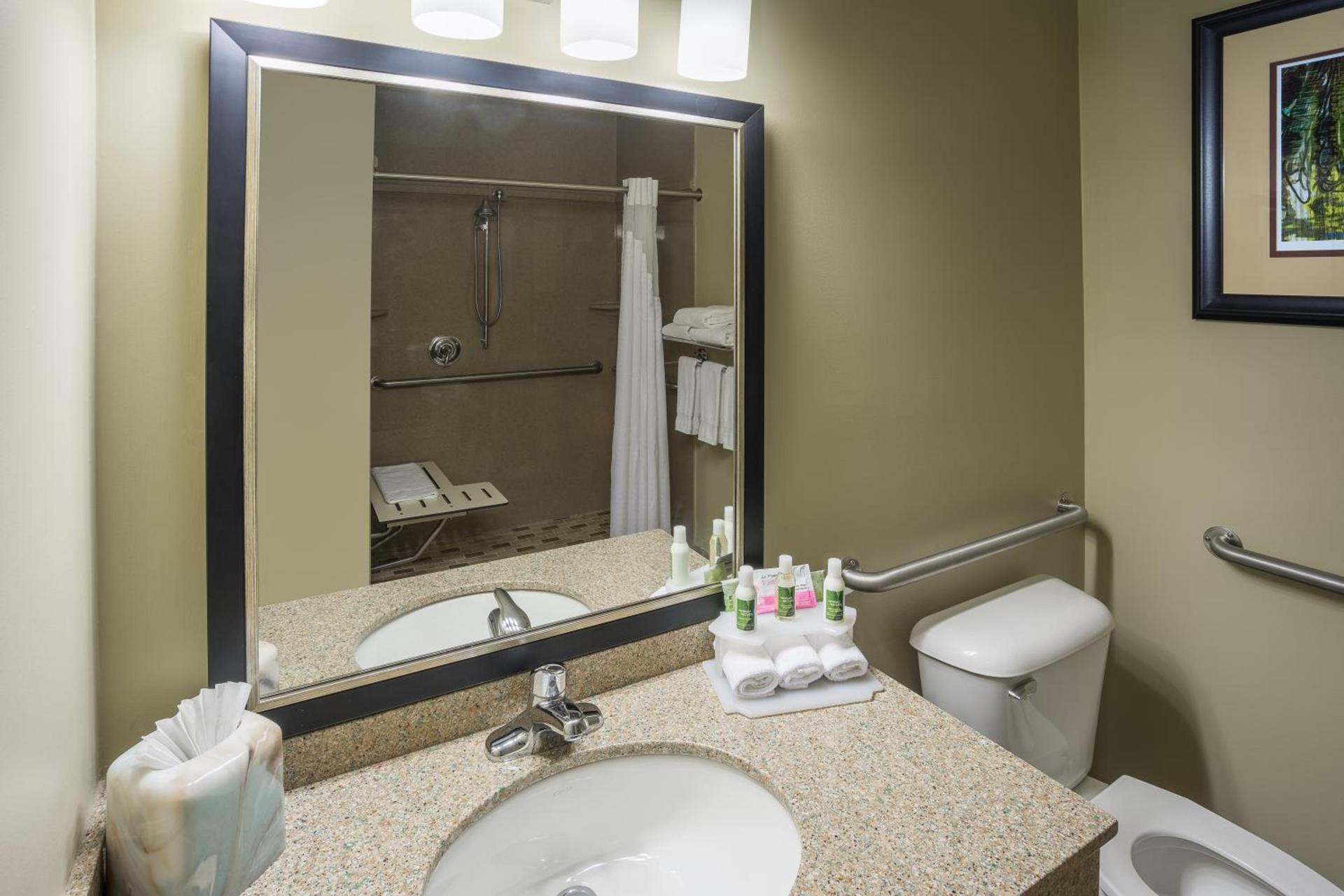 Holiday Inn Express Hotel & Suites St. Paul - Woodbury by IHG photo 2