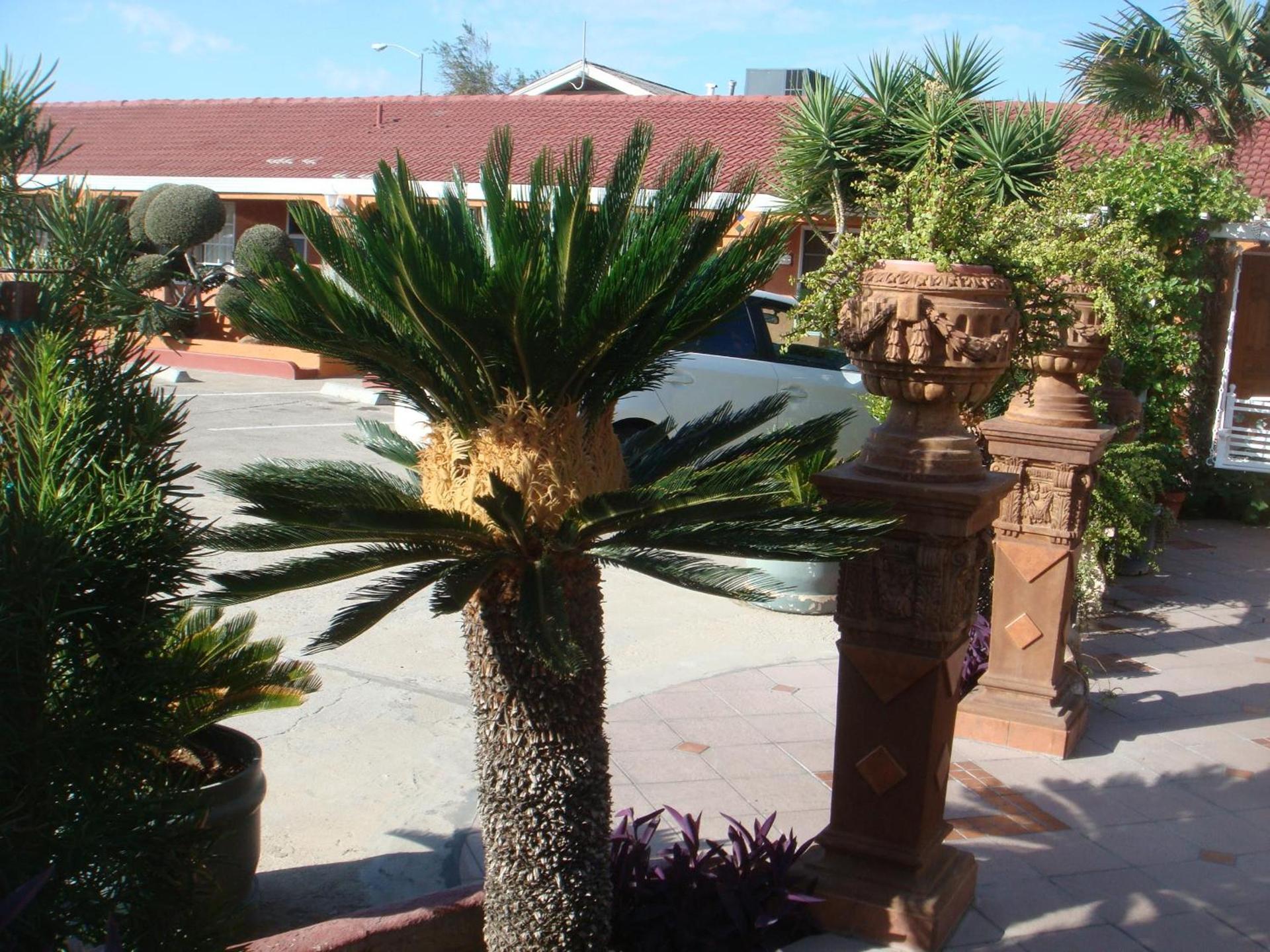 Economy Inn Los Banos photo 20