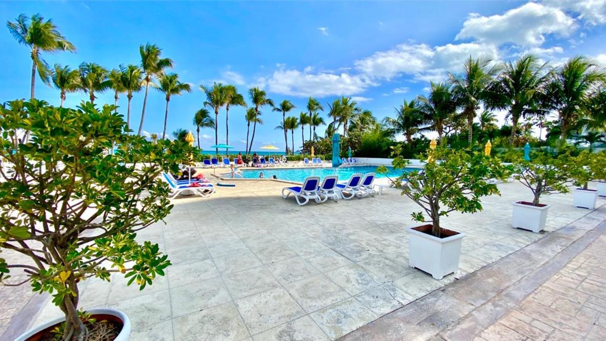 Seacoast by Miami Ambassadors photo 17
