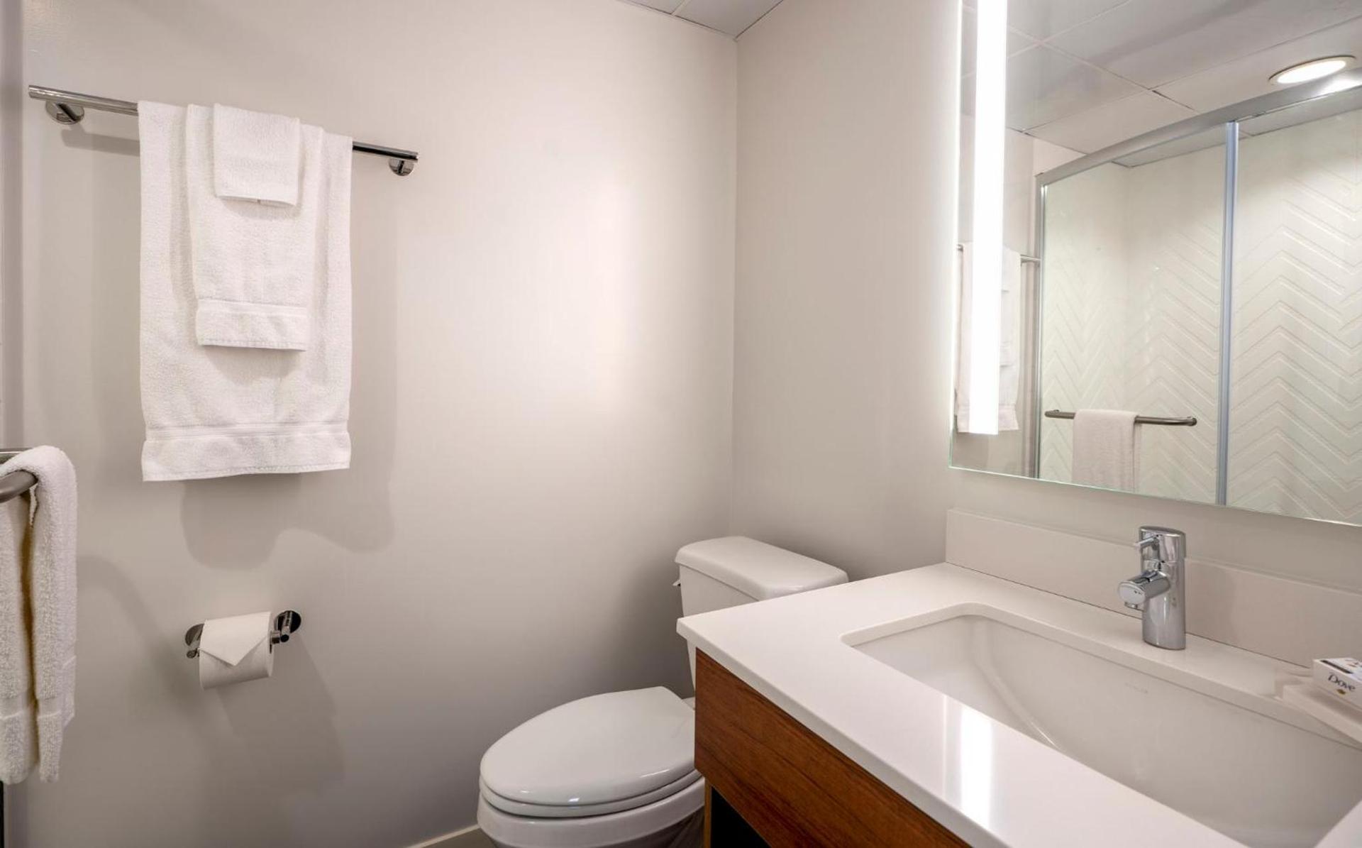 Holiday Inn New Orleans-Downtown Superdome by IHG photo 63