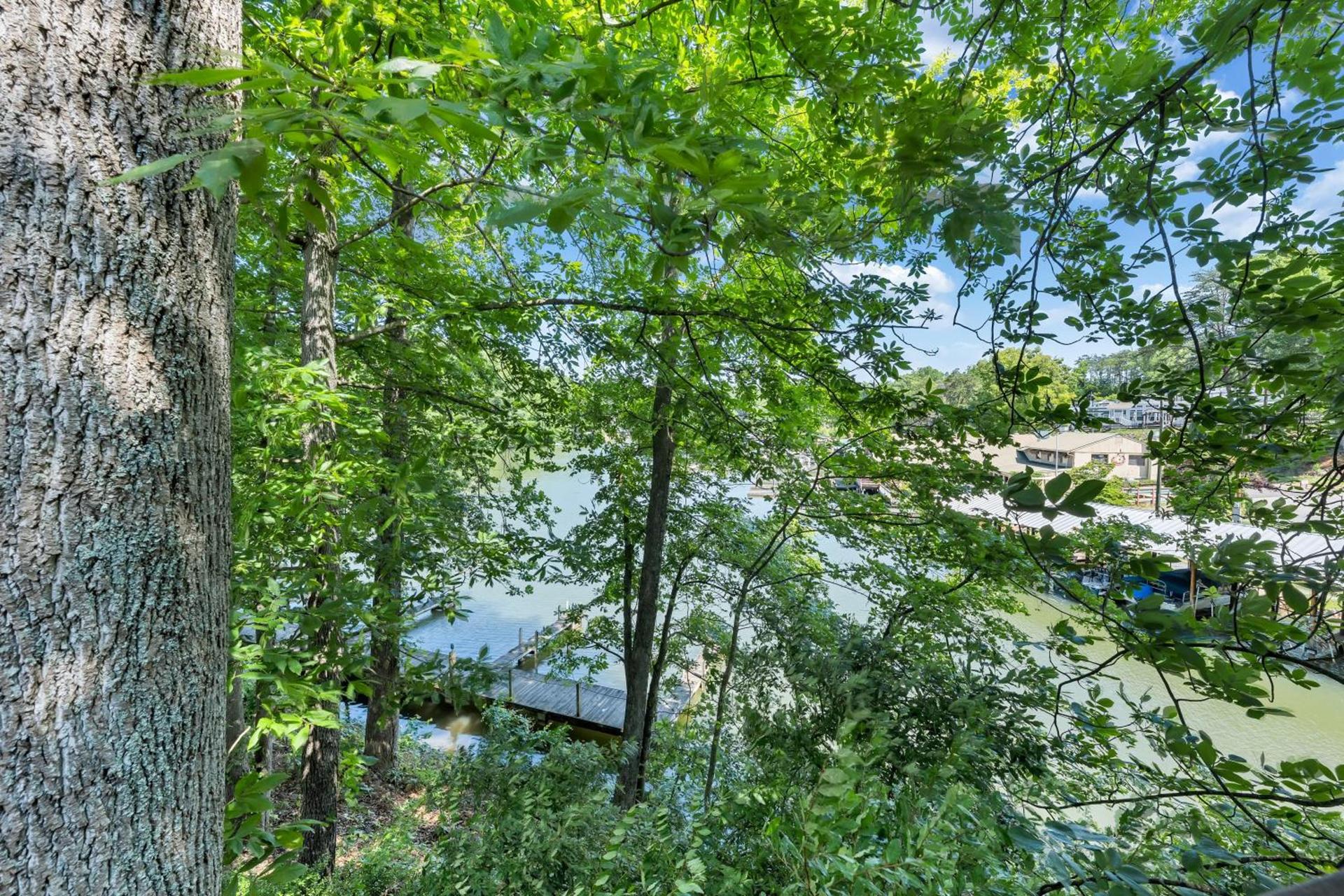 Halesford Harbour Resort - Smith Mountain Lake photo 64