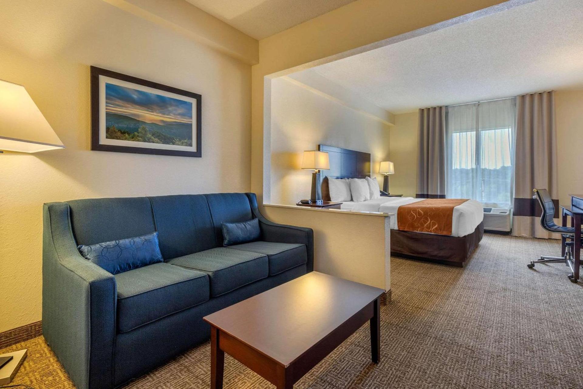 Comfort Suites Gastonia - Charlotte photo 13