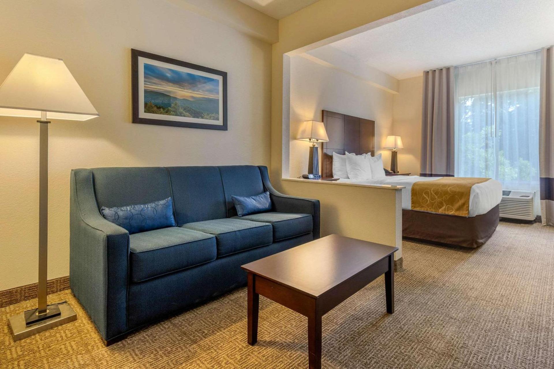 Comfort Suites Gastonia - Charlotte photo 19